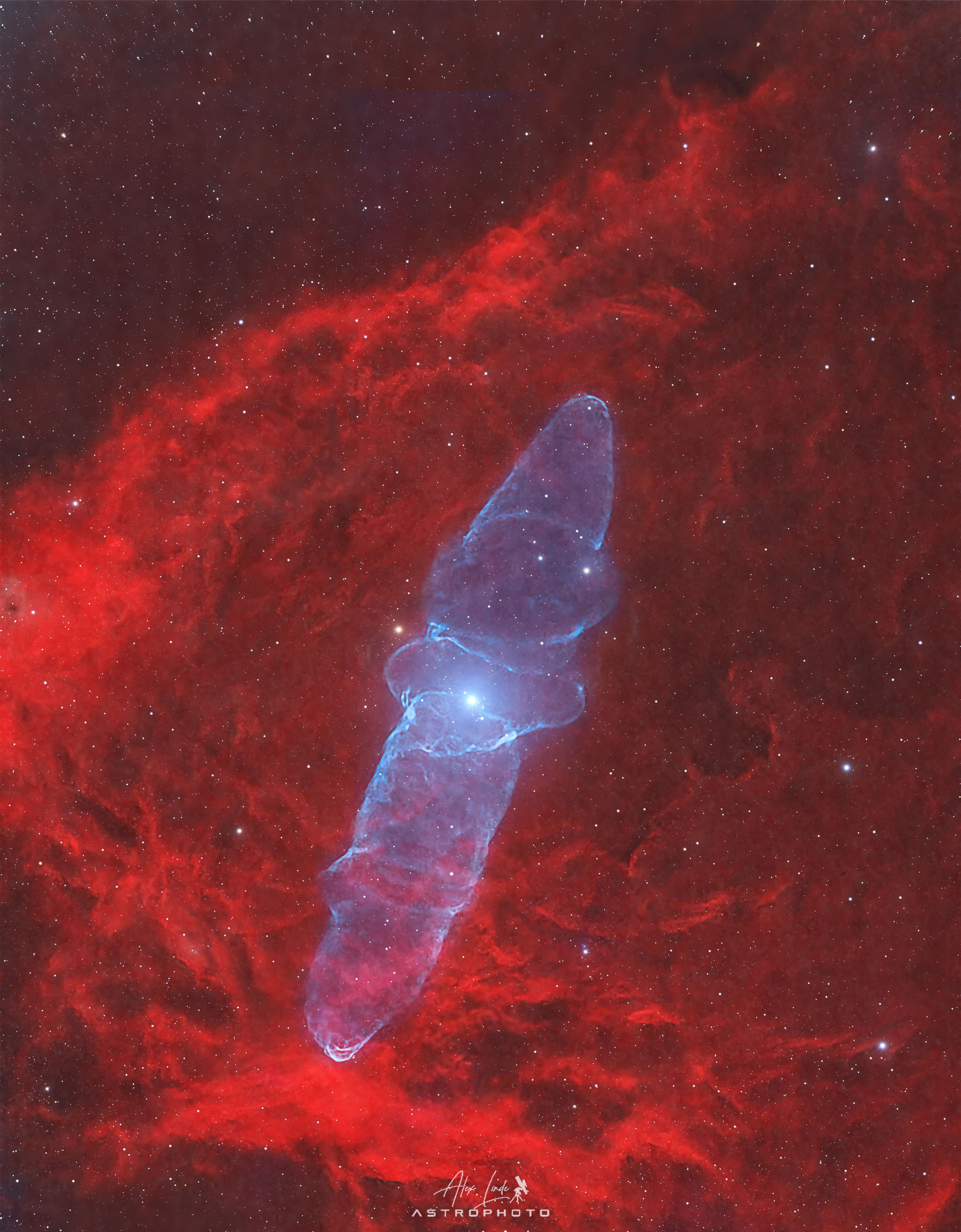 Squids on Earth aren't this big.  This mysterious squid-like cosmic cloud spans nearly three full moons on planet Earth's sky. Discovered in 2011 by French astro-imager Nicolas Outters, the Squid Nebula's bipolar shape is distinguished here by the telltale blue emission from doubly ionized oxygen atoms. Though apparently surrounded by the reddish hydrogen emission region Sh2-129, the true distance and nature of the Squid Nebula have been difficult to determine. Still, one investigation suggests Ou4 really does lie within Sh2-129 some 2,300 light-years away. Consistent with that scenario, the cosmic squid would represent a spectacular outflow of material driven by a triple system of hot, massive stars, cataloged as HR8119, seen near the center of the nebula. If so, this truly giant squid nebula would physically be over 50 light-years across.