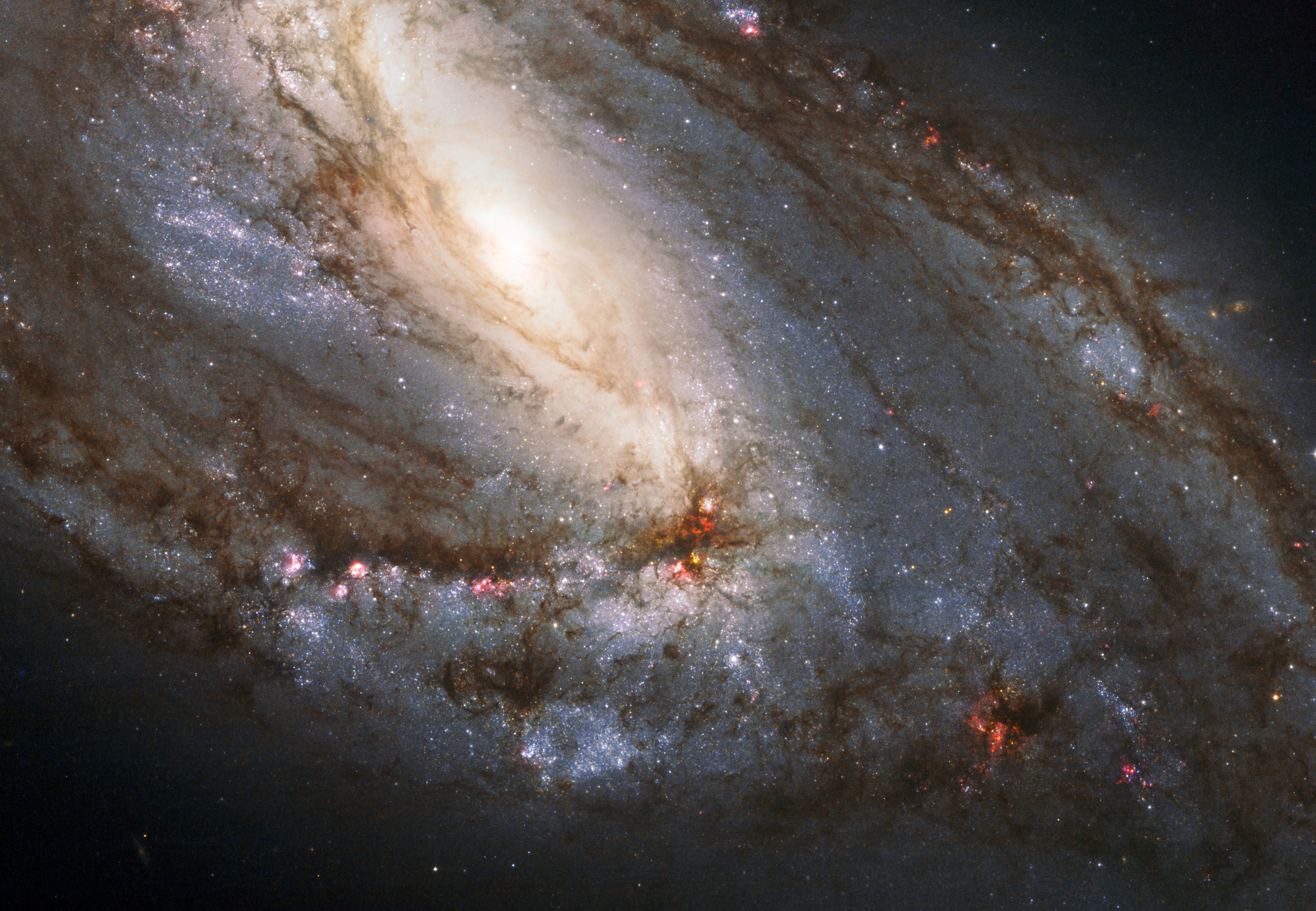 Big, beautiful spiral galaxy Messier 66 lies a mere 35 million light-years away. The gorgeous island universe is about 100 thousand light-years across, similar in size to the Milky Way. This Hubble Space Telescope close-up view spans a region about 30,000 light-years wide around the galactic core. It shows the galaxy's disk dramatically inclined to our line-of-sight. Surrounding its bright core, the likely home of a supermassive black hole, obscuring dust lanes and young, blue star clusters sweep along spiral arms dotted with the tell-tale glow of pinkish star forming regions. Messier 66, also known as NGC 3627, is the brightest of the three galaxies in the gravitationally interacting Leo Triplet.