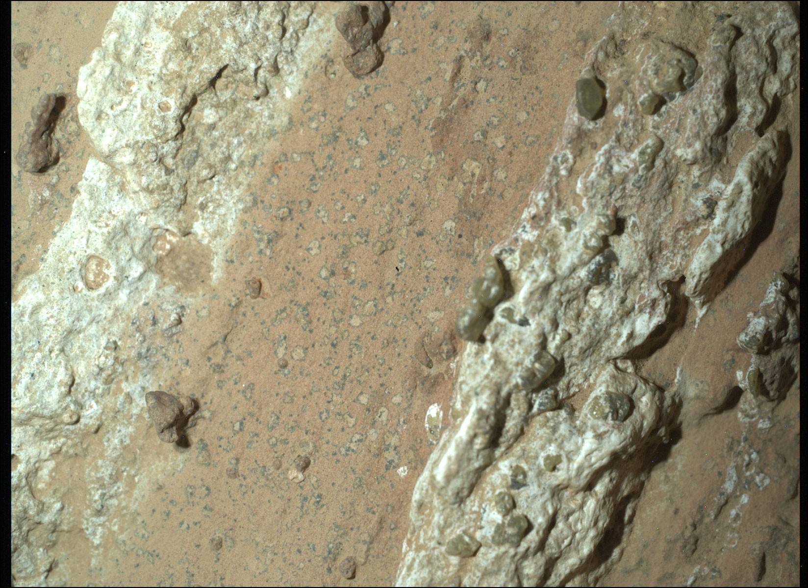 What is creating these unusual spots? Light-colored spots on Martian rocks, each surrounded by a dark border, were discovered earlier this month by NASA's Perseverance Rover currently exploring Mars.  Dubbed leopard spots because of their seemingly similarity to markings on famous Earth-bound predators, these curious patterns are being studied with the possibility they were created by ancient Martian life.  The pictured spots measure only millimeters across and were discovered on a larger rock named Cheyava Falls.  The exciting but unproven speculation is that long ago, microbes generated energy with chemical reactions that turned rock from red to white while leaving a dark ring, like some similarly appearing spots on Earth rocks. Although other non-biological explanations may ultimately prevail, speculation focusing on this potential biological origin is causing much intrigue.    New Mirror: APOD is now available from Brazil in Portuguese