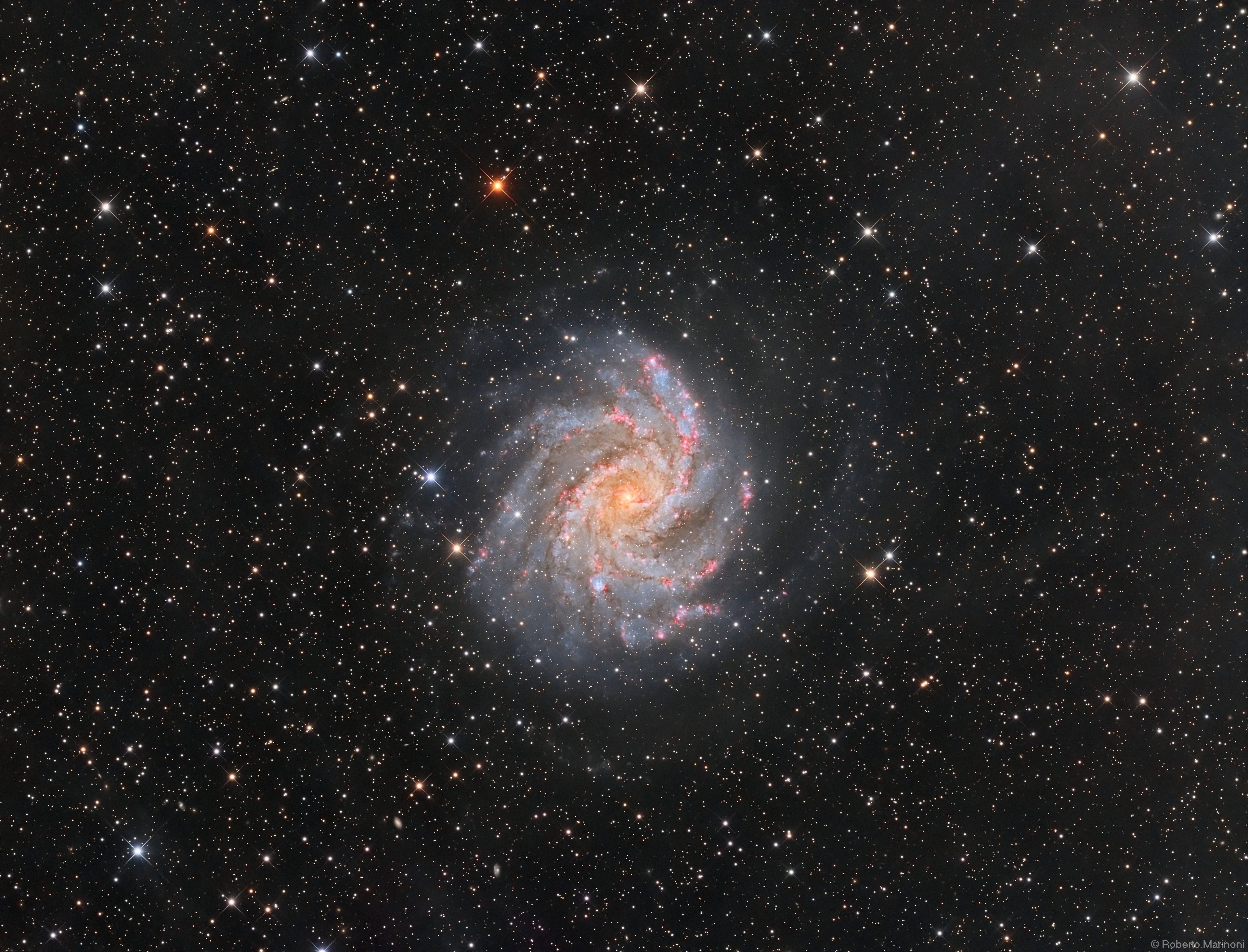 From our vantage point in the Milky Way Galaxy, we see NGC 6946 face-on. The big, beautiful spiral galaxy is located just 20 million light-years away, behind a veil of foreground dust and stars in the high and far-off constellation Cepheus. In this sharp telescopic portrait, from the core outward the galaxy's colors change from the yellowish light of old stars in the center to young blue star clusters and reddish star forming regions along the loose, fragmented spiral arms. NGC 6946 is also bright in infrared light and rich in gas and dust, exhibiting a high star birth and death rate. In fact, since the early 20th century ten confirmed supernovae, the death explosions of massive stars, were discovered in NGC 6946. Nearly 40,000 light-years across, NGC 6946 is also known as the Fireworks Galaxy.