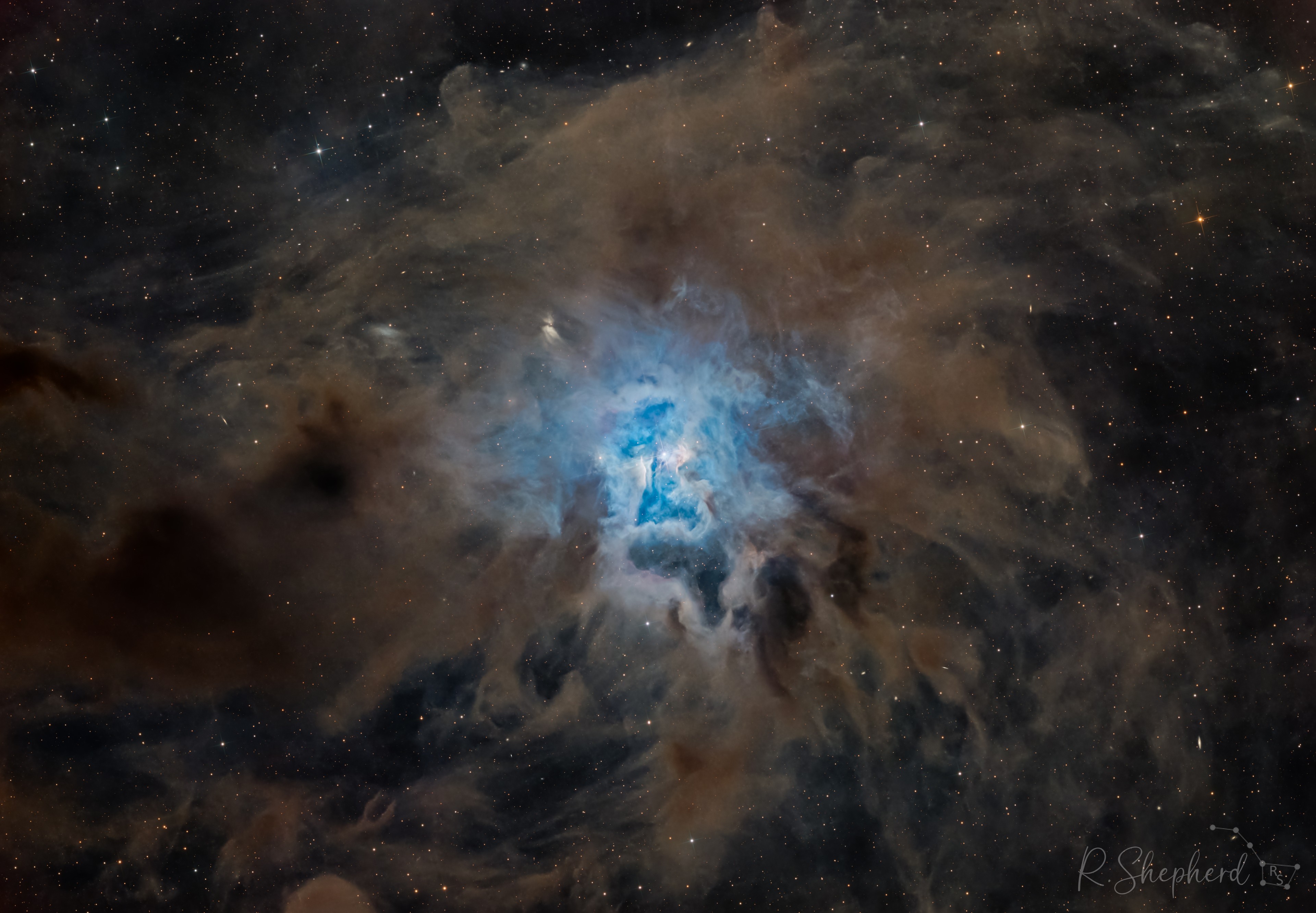 These cosmic clouds have blossomed 1,300 light-years away in the fertile starfields of the constellation Cepheus. Called the Iris Nebula, NGC 7023 is not the only nebula to evoke the imagery of flowers. Still, this deep telescopic image shows off the Iris Nebula's range of colors and symmetries embedded in surrounding fields of interstellar dust. Within the Iris itself, dusty nebular material surrounds a hot, young star. The dominant color of the brighter reflection nebula is blue, characteristic of dust grains reflecting starlight. Central filaments of the reflection nebula glow with a faint reddish photoluminescence as some dust grains effectively convert the star's invisible ultraviolet radiation to visible red light. Infrared observations indicate that this nebula contains complex carbon molecules known as PAHs. The dusty blue petals of the Iris Nebula span about six light-years.