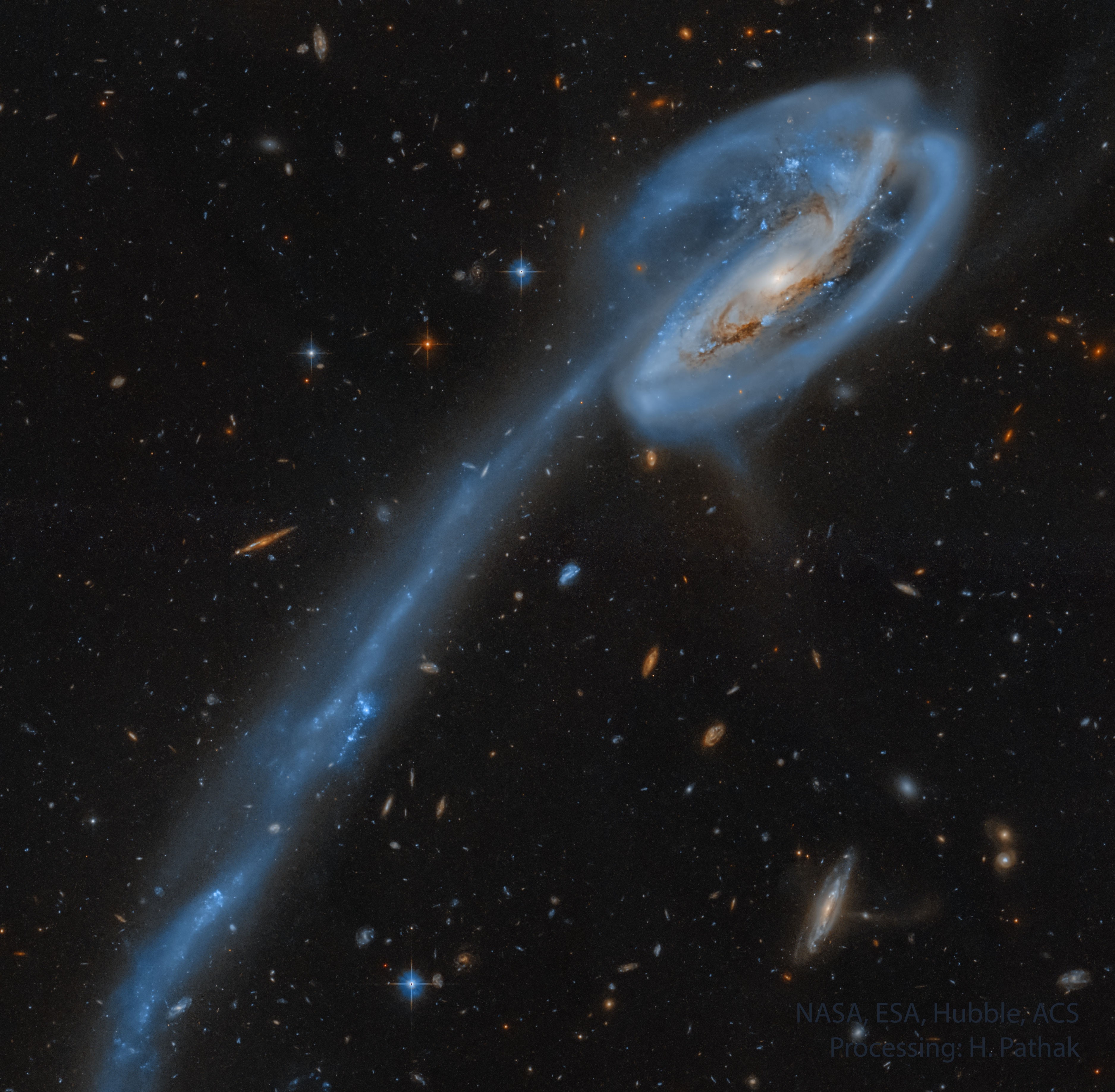 Why does this galaxy have such a long tail?  In this stunning vista, based on image data from the Hubble Legacy Archive, distant galaxies form a dramatic backdrop for disrupted spiral galaxy Arp 188, the Tadpole Galaxy. The cosmic tadpole is a mere 420 million light-years distant toward the northern constellation of the Dragon (Draco). Its eye-catching tail is about 280 thousand light-years long and features massive, bright blue star clusters. One story goes that a more compact intruder galaxy crossed in front of Arp 188 - from right to left in this view - and was slung around behind the Tadpole by their gravitational attraction. During the close encounter, tidal forces drew out the spiral galaxy's stars, gas, and dust forming the spectacular tail. The intruder galaxy itself, estimated to lie about 300 thousand light-years behind the Tadpole, can be seen through foreground spiral arms at the upper right. Following its terrestrial namesake, the Tadpole Galaxy will likely lose its tail as it grows older, the tail's star clusters forming smaller satellites of the large spiral galaxy.   APOD in world languages: Arabic (IG), Bulgarian, Catalan, Chinese (Beijing), Chinese (Taiwan), Czech, Dutch, Farsi, French, German, Hebrew, Japanese, Portuguese, Russian, Serbian, Slovenian,  Spanish, Taiwanese, Turkish, and  Ukrainian