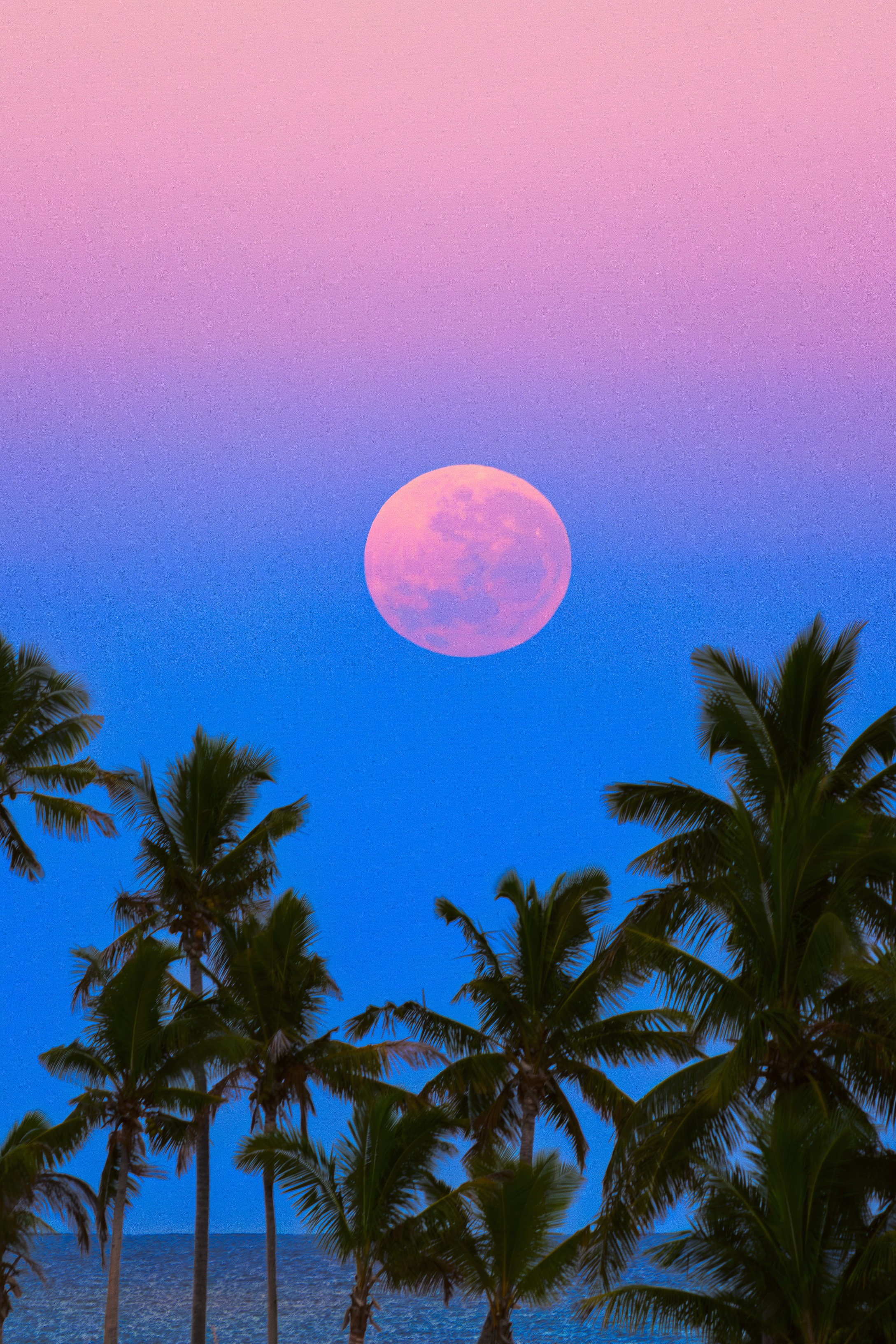 The full Moon and Earth's shadow set together in this island skyscape. The alluring scene was captured Tuesday morning, August 20, from Fiji, South Pacific Ocean, planet Earth. For early morning risers shadowset in the western sky is a daily apparition. Still, the grey-blue shadow is often overlooked in favor of a brighter eastern horizon. Extending through the dense atmosphere, Earth's setting shadow is bounded above by a pinkish glow or anti-twilight arch. Known as the Belt of Venus, the arch's lovely color is due to backscattering of reddened light from the opposite horizon's rising Sun. Of course, the setting Moon's light is reddened by the long sight-line through the atmosphere. But on that date the full Moon could be called a seasonal Blue Moon, the third full Moon in a season with four full Moons. And even though the full Moon is always impressive near the horizon, August's full Moon is considered by some the first of four consecutive full Supermoons in 2024.