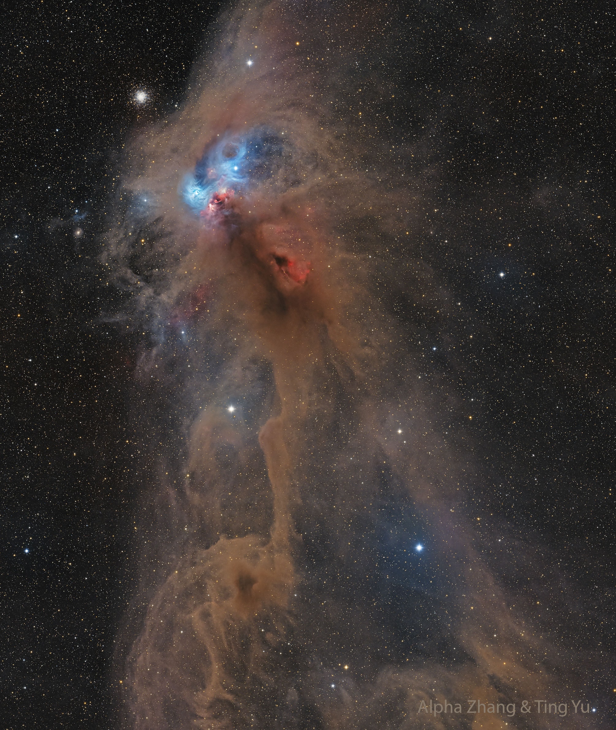 This dusty region is forming stars. Part of a sprawling molecular cloud complex that resembles, to some, a rampaging baboon, the region is a relatively close by 500 light-years away toward the constellation Corona Australis. That's about one third the distance of the more famous stellar nursery known as the Orion Nebula.  Mixed with bright nebulosities, the brown dust clouds effectively block light from more distant background stars in the Milky Way and obscure from view embedded stars still in the process of formation.  The eyes of the dust creature in the featured image are actually blue reflection nebulas cataloged as NGC 6726, 6727, 6729, and IC 4812, while the red mouth glows with light emitted by hydrogen gas.  Just to the upper left of the baboon's head is NGC 6723, a whole globular cluster of stars nearly 30,000 light years in the distance.    Explore Your Universe: Random APOD Generator