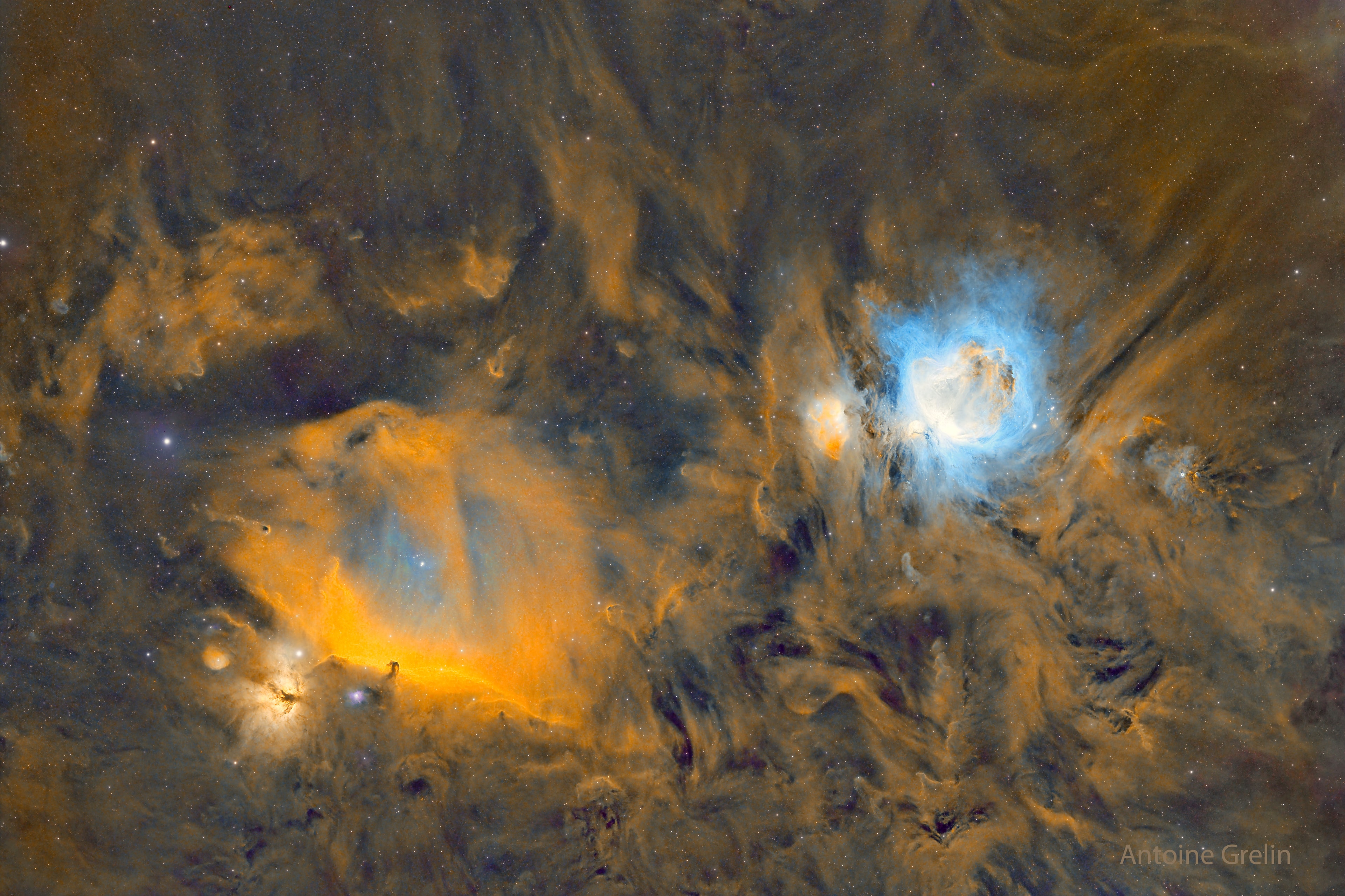 The dark Horsehead Nebula and the glowing Orion Nebula are contrasting cosmic vistas. Adrift 1,500 light-years away in one of the night sky's most recognizable constellations, they appear in opposite corners of the above stunning mosaic. The familiar Horsehead nebula appears as a dark cloud, a small silhouette notched against the long glow of hydrogen -- here shown in gold -- at the lower left. Alnitak is the easternmost star in Orion's belt and is seen as the bright star to the left of the Horsehead. Just below Alnitak is the Flame Nebula, with clouds of bright emission and dramatic dark dust lanes. The magnificent emission region, the Orion Nebula (aka M42), lies at the upper right. Immediately to its left is a prominent reflection nebula sometimes called the Running Man. Pervasive tendrils of glowing hydrogen gas are easily traced throughout the region.   Astrophysicists: Browse 3,500+ codes in the Astrophysics Source Code Library