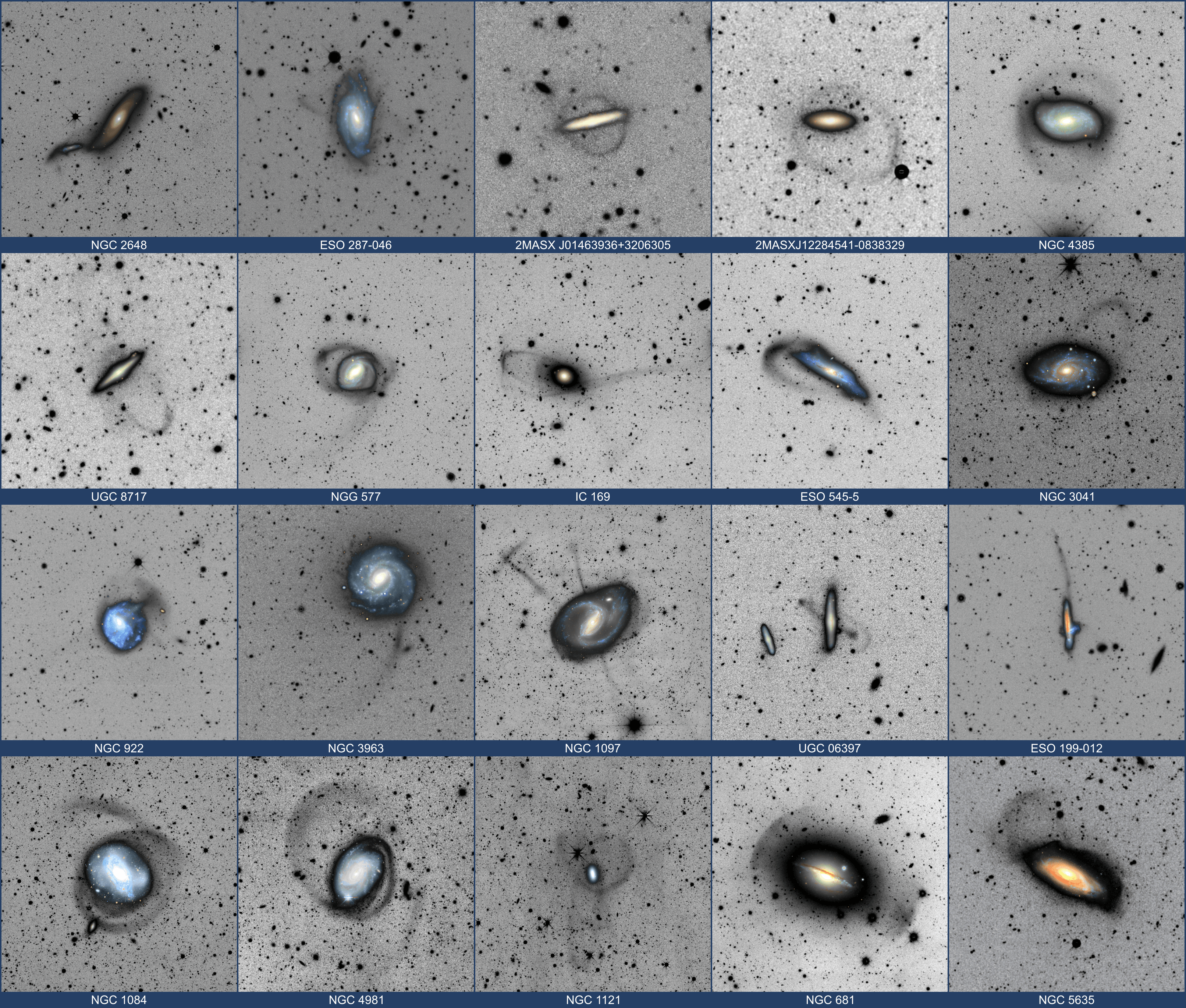 The twenty galaxies arrayed in these panels are part of an ambitious astronomical survey of tidal stellar streams. Each panel presents a composite view; a deep, inverted image taken from publicly available imaging surveys of a field that surrounds a nearby massive galaxy image. The inverted images reveal faint cosmic structures, star streams hundreds of thousands of light-years across, that result from the gravitational disruption and eventual merger of satellite galaxies in the local universe. Such surveys of mergers and gravitational tidal interactions between massive galaxies and their dwarf satellites are crucial guides for current models of galaxy formation and cosmology. Of course, the detection of stellar streams in the neighboring Andromeda Galaxy and our own Milky Way also offers spectacular evidence for ongoing satellite galaxy disruption within our more local galaxy group.