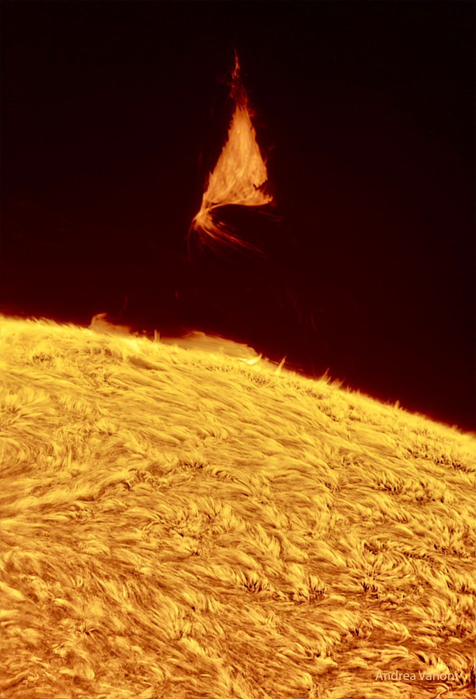 Why is there a triangle hovering over the Sun?  Although the shape is unusual, the type of structure is not: it is part of an evolving solar prominence.  Looping magnetic fields on the Sun channel the flow of energetic particles, sometimes holding glowing gaseous structures aloft for months.  A prominence glows brightly because it contains particularly hot, dense, or opaque solar plasma. The surprising triangular structure occurred last week. Larger than our Earth, the iconic prominence was imaged by several solar photographers and documented by NASA's Solar Dynamic Observatory to form and violently dissipate in about a day. The featured image was captured in a color of red light emitted strongly by hydrogen.  Below, solar fibrils carpet the Sun's chromosphere, while the background sky is so faint in comparison that no stars are visible.  Our Sun's surface has been quite active this year.