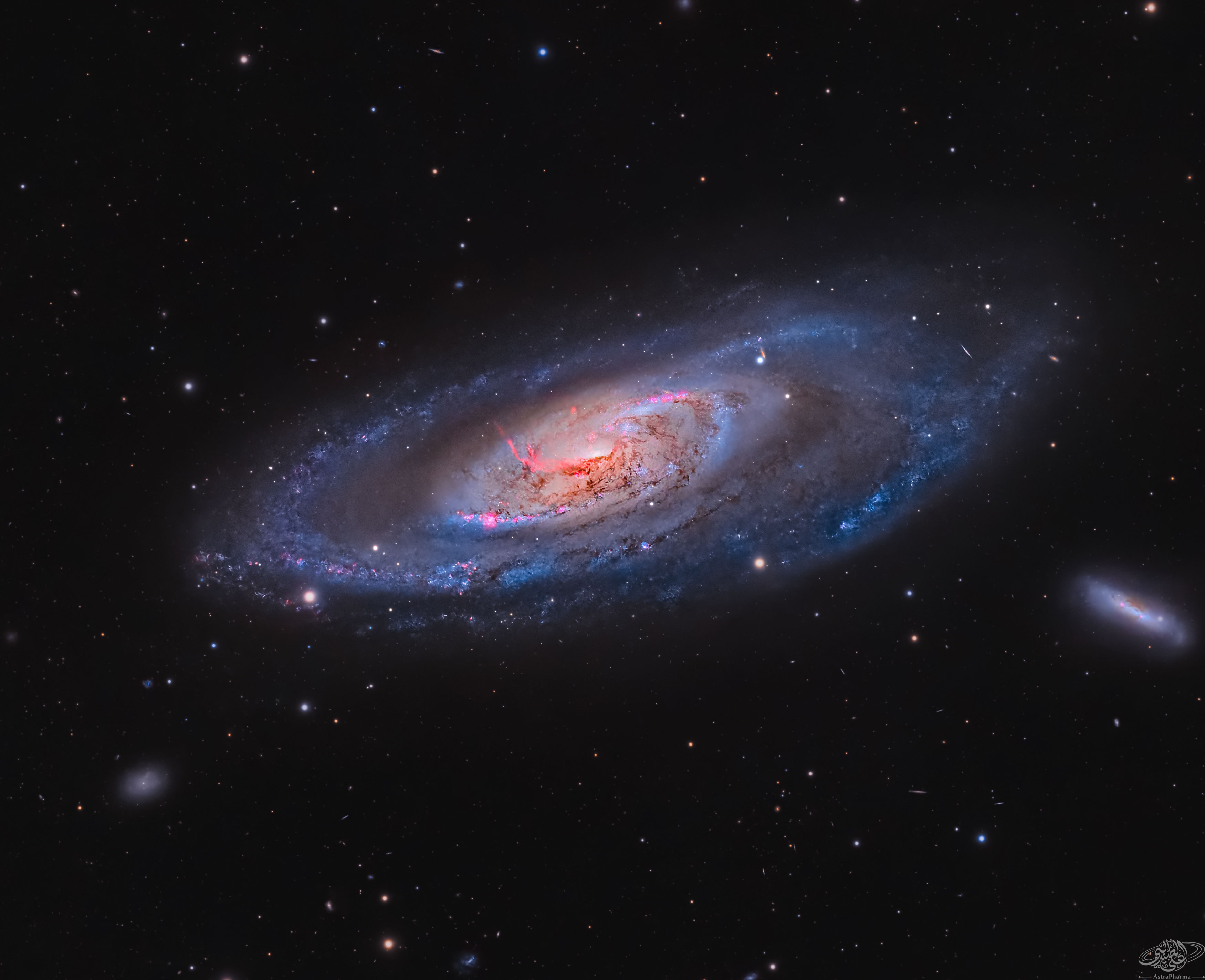 What's happening at the center of spiral galaxy M106? A swirling disk of stars and gas, M106's appearance is dominated by blue spiral arms and red  dust lanes near the nucleus, as shown in the featured image taken from the Kuwaiti desert.  The core of M106 glows brightly in radio waves and X-rays where twin jets have been found running the length of the galaxy.  An unusual central glow makes M106 one of the closest examples of the Seyfert class of galaxies, where vast amounts of glowing gas are thought to be falling into a central massive black hole.  M106, also designated NGC 4258, is a relatively close 23.5 million light years away, spans 60 thousand light years across, and can be seen with a small telescope towards the constellation of the Hunting Dogs (Canes Venatici).