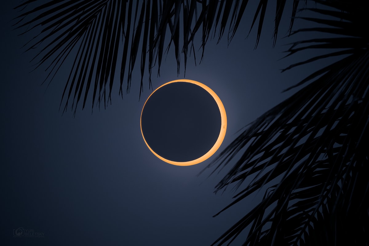 The second solar eclipse of 2024 began in the Pacific. On October 2nd the Moon's shadow swept from west to east, with an annular eclipse visible along a narrow antumbral shadow path tracking mostly over ocean, making its only major landfall near the southern tip of South America, and then ending in the southern Atlantic. The dramatic total annular eclipse phase is known to some as a ring of fire. Also tracking across islands in the southern Pacific, the Moon's antumbral shadow grazed Easter Island allowing denizens to follow all phases of the annular eclipse. Framed by palm tree leaves this clear island view is a stack of two images, one taken with and one taken without a solar filter near the moment of the maximum annular phase. The New Moon's silhouette appears just off center, though still engulfed by the bright disk of the active Sun.   Growing Gallery: Global aurora during October 10/11, 2024