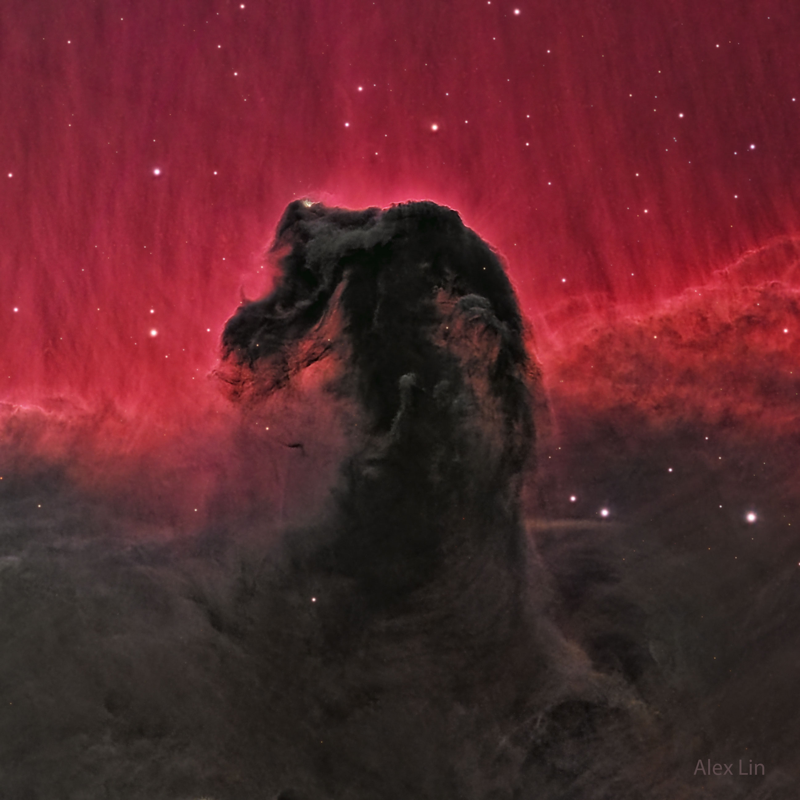 One of the most identifiable nebulas in the sky, the Horsehead Nebula in Orion, is part of a large, dark, molecular cloud.  Also known as Barnard 33, the unusual shape was first discovered on a photographic plate in the late 1800s.  The red glow originates from hydrogen gas predominantly behind the nebula, ionized by the nearby bright star Sigma Orionis.  The darkness of the Horsehead is caused mostly by thick dust, although the lower part of the Horsehead's neck casts a shadow to the left.  Streams of gas leaving the nebula are funneled by a strong magnetic field.  Bright spots in the Horsehead Nebula's base are young stars just in the process of forming.  Light takes about 1,500 years to reach us from the Horsehead Nebula.  The featured image was taken from the Chilescope Observatory in the mountains of Chile.
