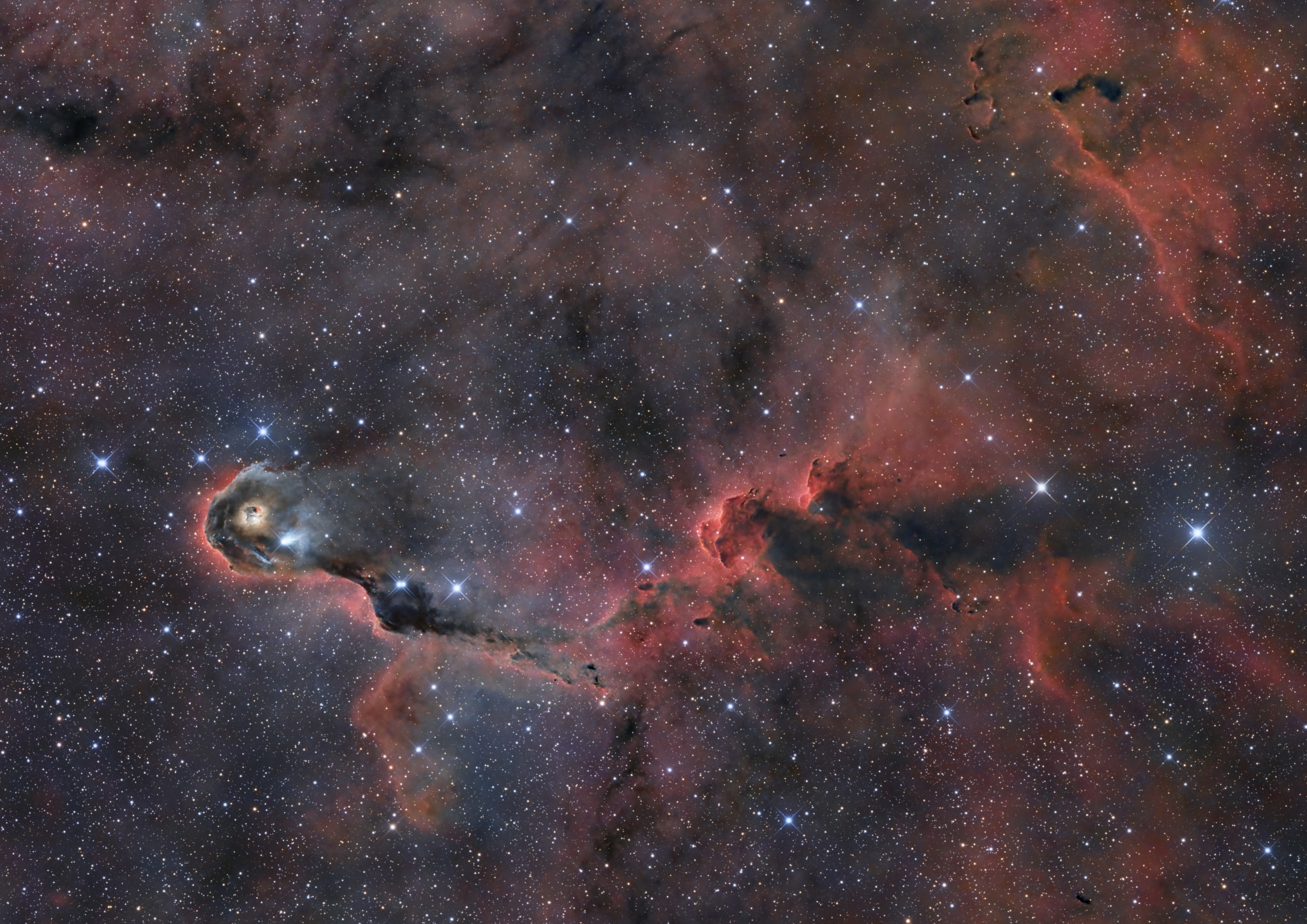 Like an illustration in a galactic Just So Story, the Elephant's Trunk Nebula winds through the emission region and young star cluster complex IC 1396, in the high and far off constellation of Cepheus. Also known as vdB 142, this cosmic elephant's trunk is over 20 light-years long. The detailed telescopic view features the bright swept-back ridges and pockets of cool interstellar dust and gas that abound in the region. But the dark, tendril-shaped clouds contain the raw material for star formation and hide protostars within. Nearly 3,000 light-years distant, the relatively faint IC 1396 complex covers a large region on the sky, spanning over 5 degrees. This rendition spans a 1 degree wide field of view though, about the angular size of 2 full moons.