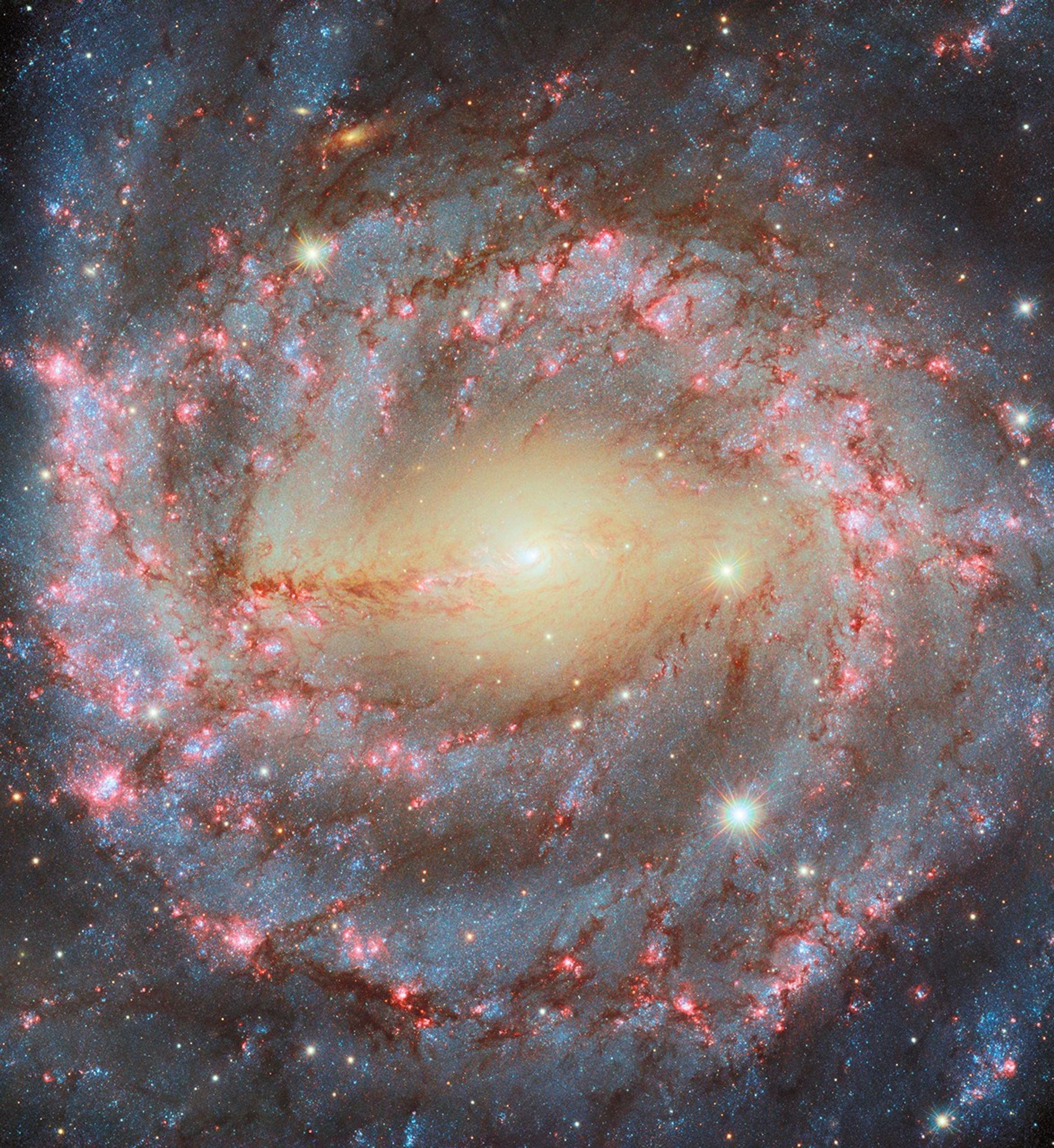 Viewed face-on, grand spiral galaxy NGC 5643 has a festive appearance in this colorful cosmic portrait. Some 55 million light-years distant, the galaxy extends for over 100,000 light-years, seen within the boundaries of the southern constellation Lupus. Its inner 40,000 light-years are shown in sharp detail in this composite of Hubble Space Telescope image data. The galaxy's magnificent spiral arms wind from a yellowish central region dominated by light from old stars, while the spiral arms themselves are traced by dust lanes, young blue stars and reddish star forming regions. The bright compact core of NGC 5643 is also known as a strong emitter of radio waves and X-rays. In fact, NGC 5643 is one of the closest examples of the Seyfert class of active galaxies, where vast amounts of dust and gas are thought to be falling into a central massive black hole.