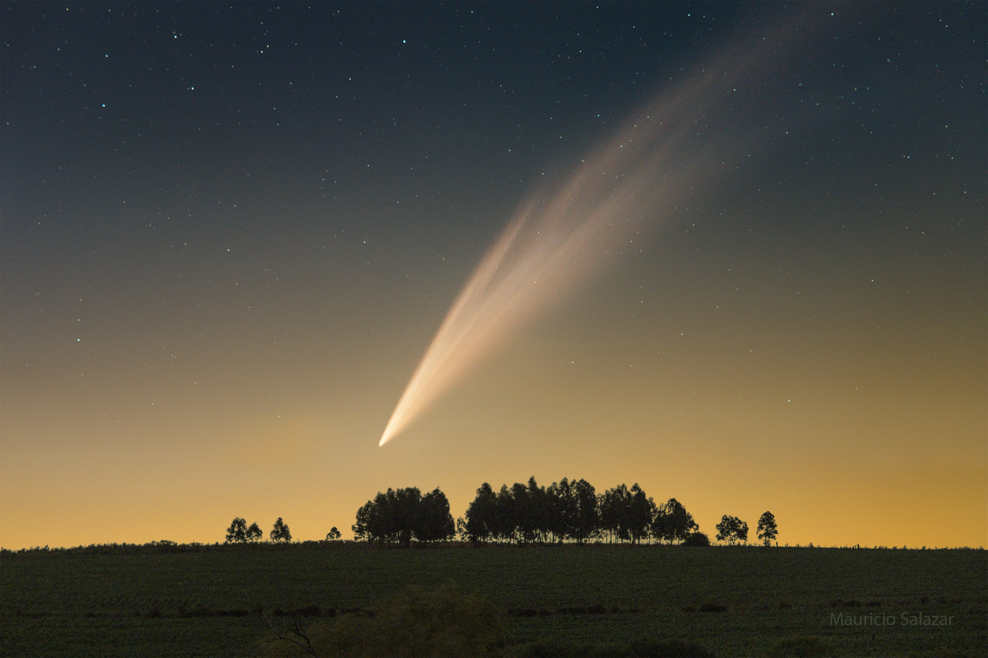 Comets can be huge. When far from the Sun, a comet's size usually refers to its hard nucleus of ice and rock, which typically spans a few kilometers -- smaller than even a small moon. When nearing the Sun, however, this nucleus can eject dust and gas and leave a thin tail that can spread to an enormous length -- even greater than the distance between the Earth and the Sun. Pictured, C/2024 G3 (ATLAS) sports a tail of sunlight-reflecting dust and glowing gas that spans several times the apparent size of a full moon, appearing even larger on long duration camera images than to the unaided eye. The featured image shows impressive Comet ATLAS over trees and a grass field in Sierras de Mahoma, San Jose, Uruguay about a week ago.  After being prominent in the sunset skies of Earth's southern hemisphere, Comet G3 ATLAS is now fading as it moves away from the Sun, making its impressive tails increasingly hard to see.    Gallery: Comet ATLAS (G3)