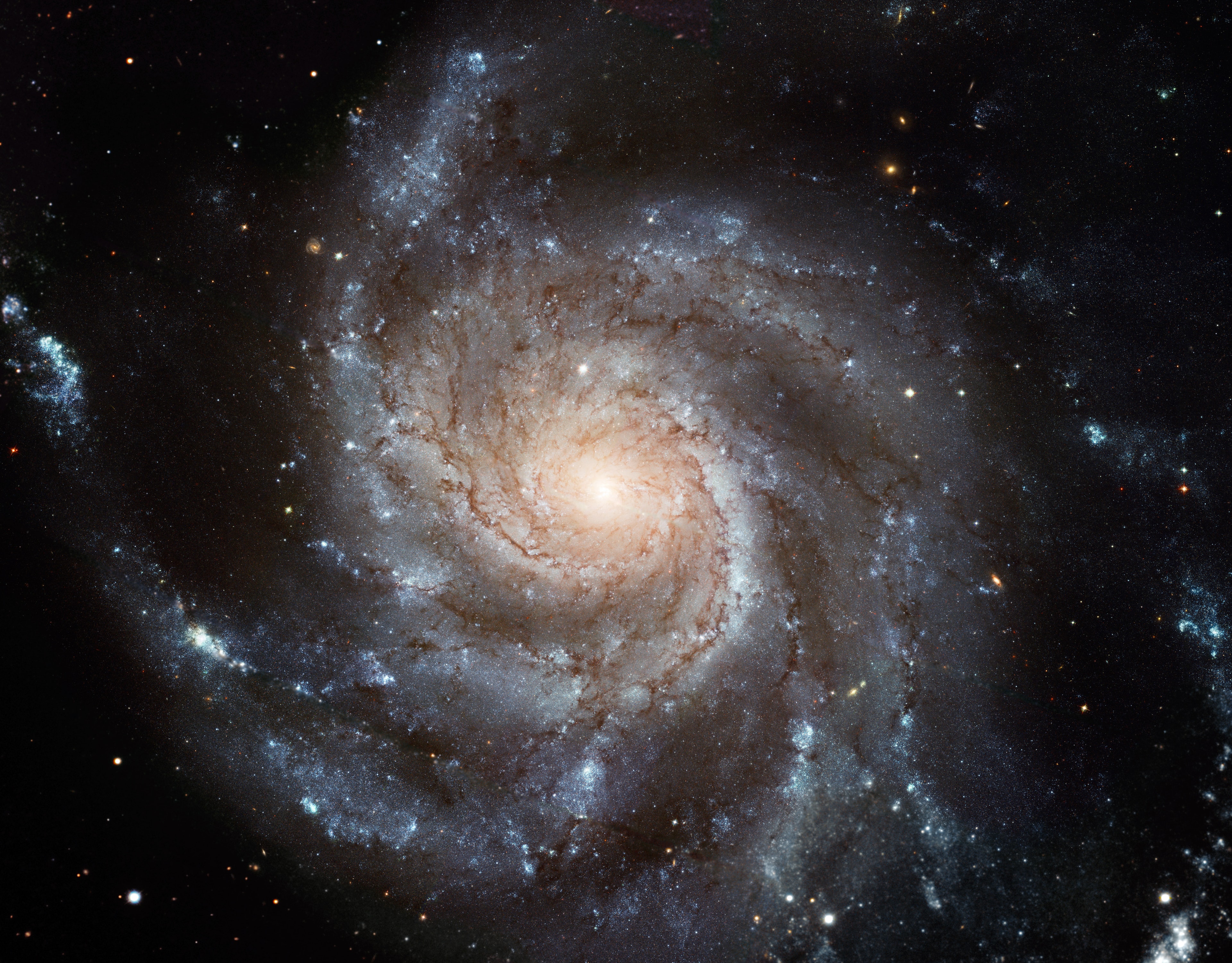 Big, beautiful spiral galaxy M101 is one of the last entries in Charles Messier's famous catalog, but definitely not one of the least. About 170,000 light-years across, this galaxy is enormous, almost twice the size of our own Milky Way. M101 was also one of the original spiral nebulae observed by Lord Rosse's large 19th century telescope, the Leviathan of Parsontown. Assembled from 51 exposures recorded by the Hubble Space Telescope in the 20th and 21st centuries, with additional data from ground based telescopes, this mosaic spans about 40,000 light-years across the central region of M101 in one of the highest definition spiral galaxy portraits ever released from Hubble. The sharp image shows stunning features of the galaxy's face-on disk of stars and dust along with background galaxies, some visible right through M101 itself. Also known as the Pinwheel Galaxy, M101 lies within the boundaries of the northern constellation Ursa Major, about 25 million light-years away.