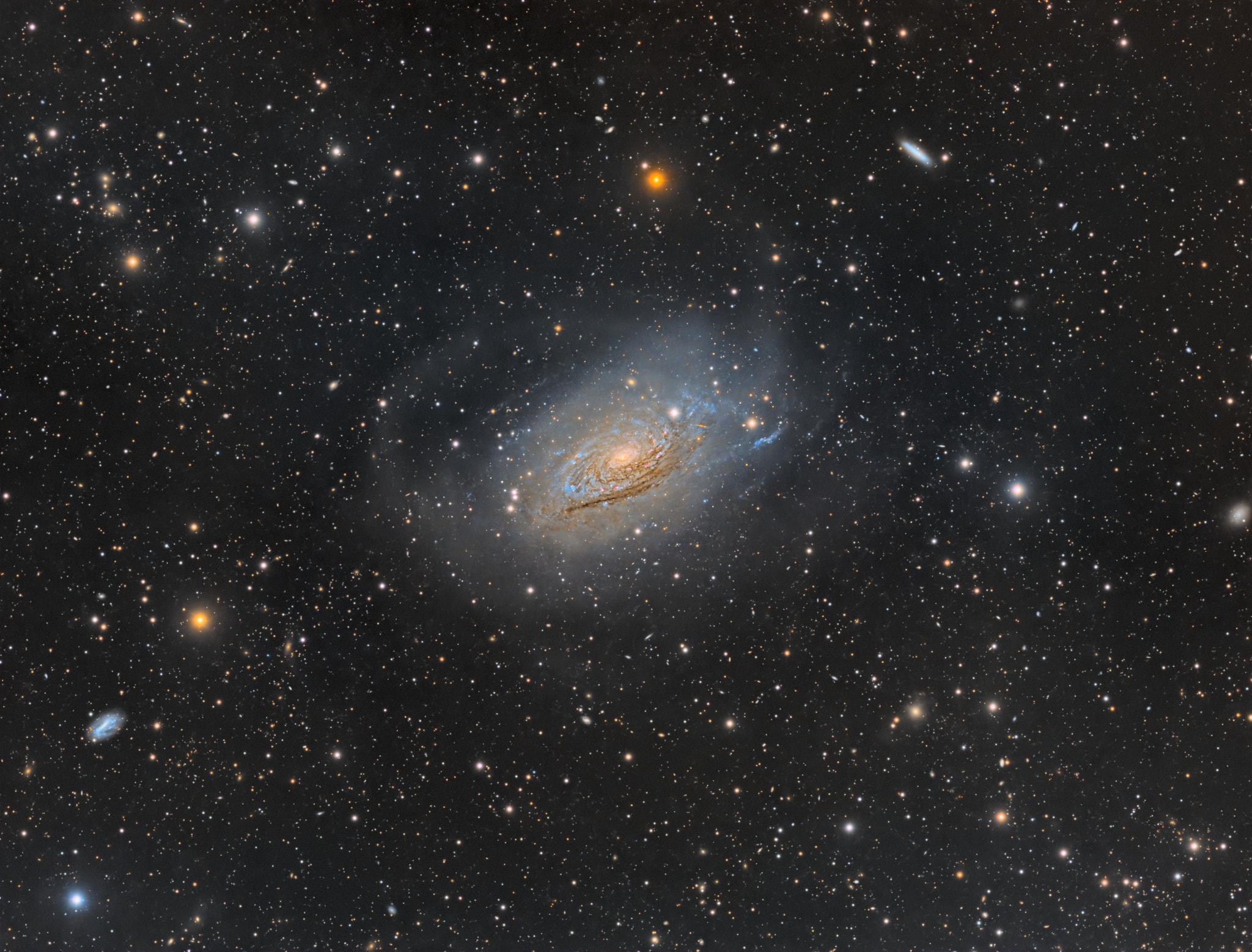 A bright spiral galaxy of the northern sky, Messier 63 is nearby, about 30 million light-years distant toward the loyal constellation Canes Venatici. Also cataloged as NGC 5055, the majestic island universe is nearly 100,000 light-years across, about the size of our own Milky Way. Its bright core and majestic spiral arms lend the galaxy its popular name, The Sunflower Galaxy. This exceptionally deep exposure also follows faint loops and curling star streams far into the galaxy's halo. Extending nearly 180,000 light-years from the galactic center, the star streams are likely remnants of tidally disrupted satellites of M63. Other satellite galaxies of M63 can be spotted in the remarkable wide-field image, including dwarf galaxies, which could contribute to M63's star streams in the next few billion years.