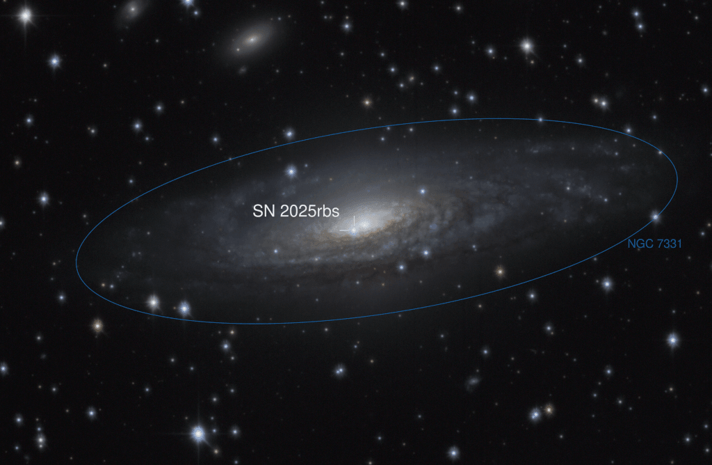 A long time ago in a galaxy 50 million light-years away, a star exploded. Light from that supernova was first detected by telescopes on planet Earth on July 14th though, and the extragalactic transient is now known to astronomers as supernova 2025rbs. Presently the brightest supernova in planet Earth's sky, 2025rbs is a Type Ia supernova, likely caused by the thermonuclear detonation of a white dwarf star that accreted material from a companion in a binary star system.  Type Ia supernovae are used as standard candles to establish the distance scale of the universe. The host galaxy of 2025rbs is NGC 7331. Itself a bright spiral galaxy in the northern constellation Pegasus, NGC 7331 is often touted as an analog to our own Milky Way.