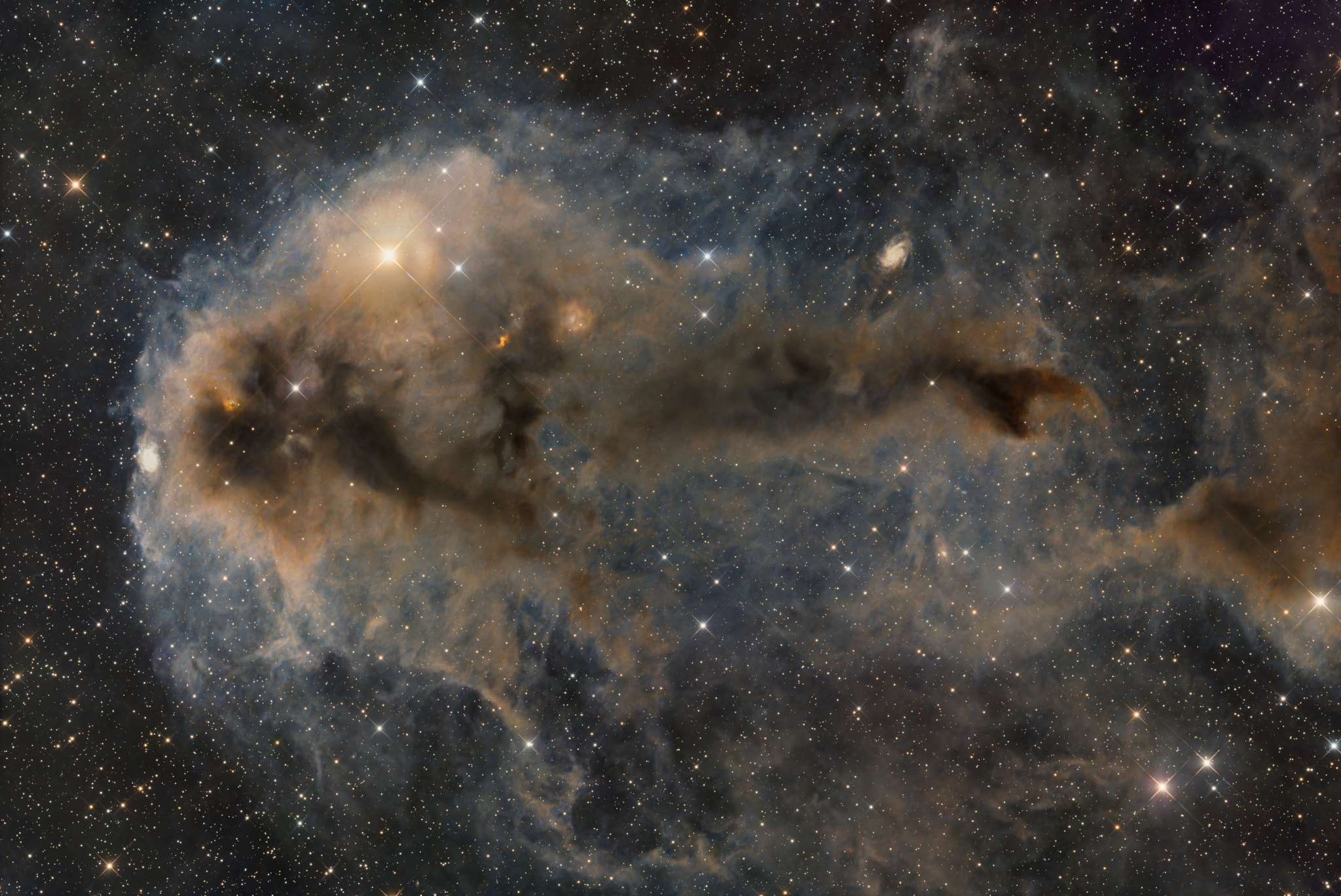 Stars are forming in Lynds Dark Nebula (LDN) 1251. About 1,000 light-years away and drifting above the plane of our Milky Way galaxy, LDN 1251 is also less appetizingly known as "The Rotten Fish Nebula." The dusty molecular cloud is part of a complex of dark nebulae mapped toward the Cepheus flare region. Across the spectrum, astronomical explorations of the obscuring interstellar clouds reveal energetic shocks and outflows associated with newborn stars, including the telltale reddish glow from scattered Herbig-Haro objects hiding in the image. Distant background galaxies also lurk in the scene, almost buried behind the dusty expanse. This alluring telescopic frame spans almost three full moons on the sky. That corresponds to over 25 light-years at the estimated distance of LDN 1251.