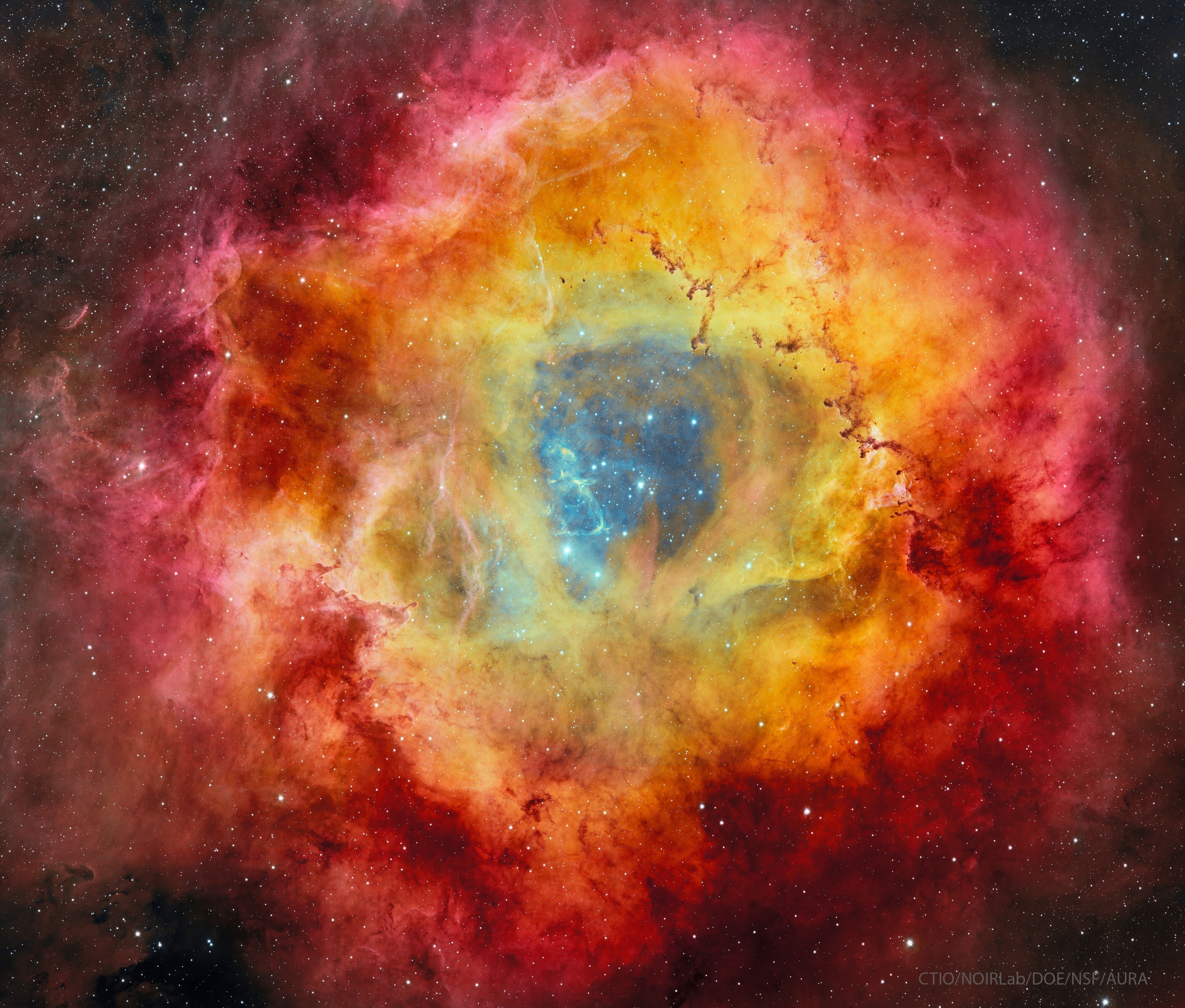 Would the Rosette Nebula by any other name look as sweet? The bland New General Catalog designation of NGC 2237 doesn't appear to diminish the appearance of this flowery emission nebula, as captured by the Dark Energy Camera (DECam) on the Blanco 4-meter telescope at the NSF's Cerro Tololo Inter-American Observatory in Chile.  Inside the nebula lies an open cluster of bright young stars designated NGC 2244. These stars formed about four million years ago from the nebular material and their stellar winds are clearing a hole in the nebula's center, insulated by a layer of dust and hot gas. Ultraviolet light from the hot cluster stars causes the surrounding nebula to glow. The Rosette Nebula spans about 100 light-years across, lies about 5000 light-years away, and can be seen with a small telescope towards the constellation of the Unicorn (Monoceros).   Open Science: Browse 3,700+ codes in the Astrophysics Source Code Library