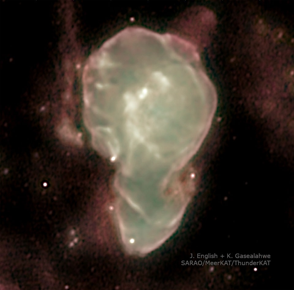 How soon do jets form when a supernova gives birth to a neutron star?  The Africa Nebula provides clues.  This supernova remnant surrounds Circinus X-1, an X-ray emitting neutron star and the companion star it orbits.  The image, from the ThunderKAT collaboration on the MeerKAT radio telescope situated in South Africa, shows the bright core-and-lobe structure of Cir X-1’s currently active jets inside the nebula.  A mere 4600 years old, Cir X-1 could be the "Little Sister" of microquasar SS 433*.  However, the newly discovered bubble exiting from a ring-like hole in the upper right of the nebula, along with a ring to the bottom left, demonstrate that other jets previously existed.  Computer simulations indicate those jets formed within 100 years of the explosion and lasted up to 1000 years.  Surprisingly, to create the observed bubble, the jets need to be more powerful than young neutron stars were previously thought to produce.   Open Science: Browse 3,700+ codes in the Astrophysics Source Code Library