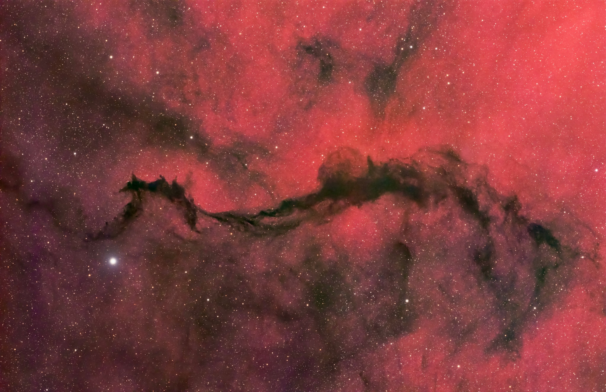 The diffuse hydrogen-alpha glow of emission region Sh2-27 fills this cosmic scene. The field of view spans nearly 3 degrees across the nebula-rich constellation Ophiuchus toward the central Milky Way. A Dark Veil of wispy interstellar dust clouds draped across the foreground is chiefly identified as LDN 234 and LDN 204 from the 1962 Catalog of Dark Nebulae by American astronomer Beverly Lynds. Sh2-27 itself is the large but faint HII region surrounding runaway O-type star Zeta Ophiuchi. Along with the Zeta Oph HII region, LDN 234 and LDN 204 are likely 500 or so light-years away. At that distance, this telescopic frame would be about 25 light-years wide.