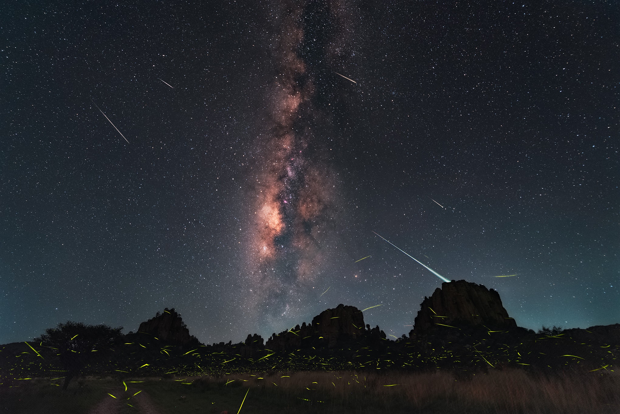 Taken on July 29 and July 30, a registered and stacked series of exposures creates this dreamlike view of a northern summer night. Multiple firefly flashes streak across the foreground as the luminous Milky Way arcs above the horizon in the Sierra de Órganos national park of central Mexico, The collection of bright streaks aligned across the sky toward the upper left in the timelapse image are Delta Aquariid meteors. Currently active, the annual Delta Aquarid meteor shower shares August nights though, overlapping with the better-known Perseid meteor shower. This year that makes post-midnight, mostly moonless skies in early August very popular with late night skygazers. How can you tell a Delta Aquariid from a Perseid meteor?  The streaks of Perseid meteors can be traced back to an apparent radiant in the constellation Perseus. Delta Aquariids appear to emerge from the more southerly constellation Aquarius, beyond the top left of this frame. Of course, the bioluminescent flashes of fireflies are common too on these northern summer nights. But how can you tell a firefly from a meteor? Just try to catch one.