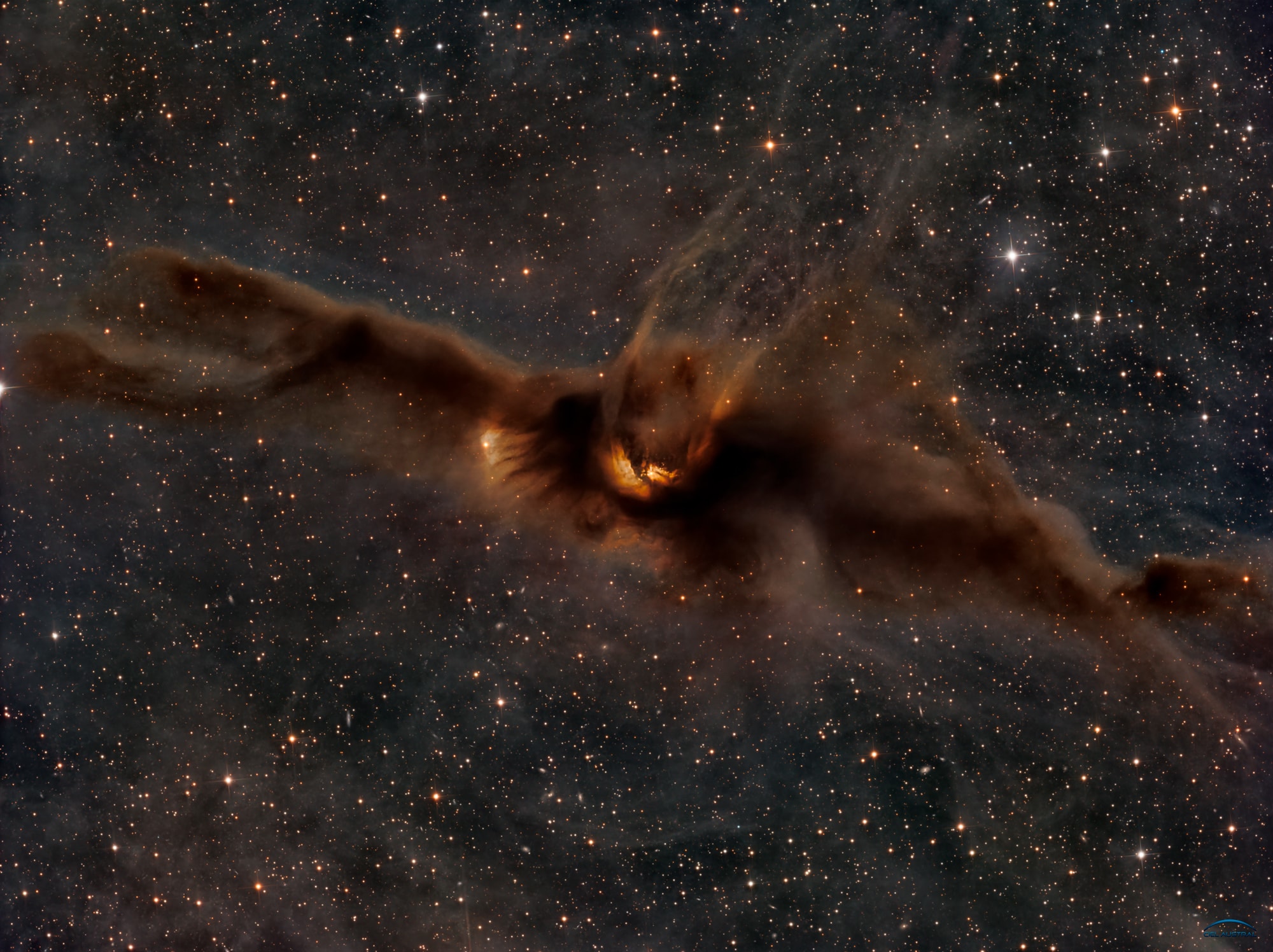 Sure, Halloween is an astronomy holiday. But astronomers always enjoy scanning the heavens for spook-tacular galaxies, stars, and nebulae. This favorite is item number 43 from the Beverly Lynds 1962 Catalog of Dark Nebulae, fondly known as the Cosmic Bat nebula. While its visage looks alarmingly like a scary flying mammal, Lynds Dark Nebula 43 is over 12 light-years across. Glowing with eerie light, stars are forming within the dusty interstellar molecular cloud that is dense enough to appear in silhouette against a luminous background of Milky Way stars. Watch out. This Cosmic Bat nebula is a mere 400 light-years distant toward the serpent-bearing constellation Ophiucus.