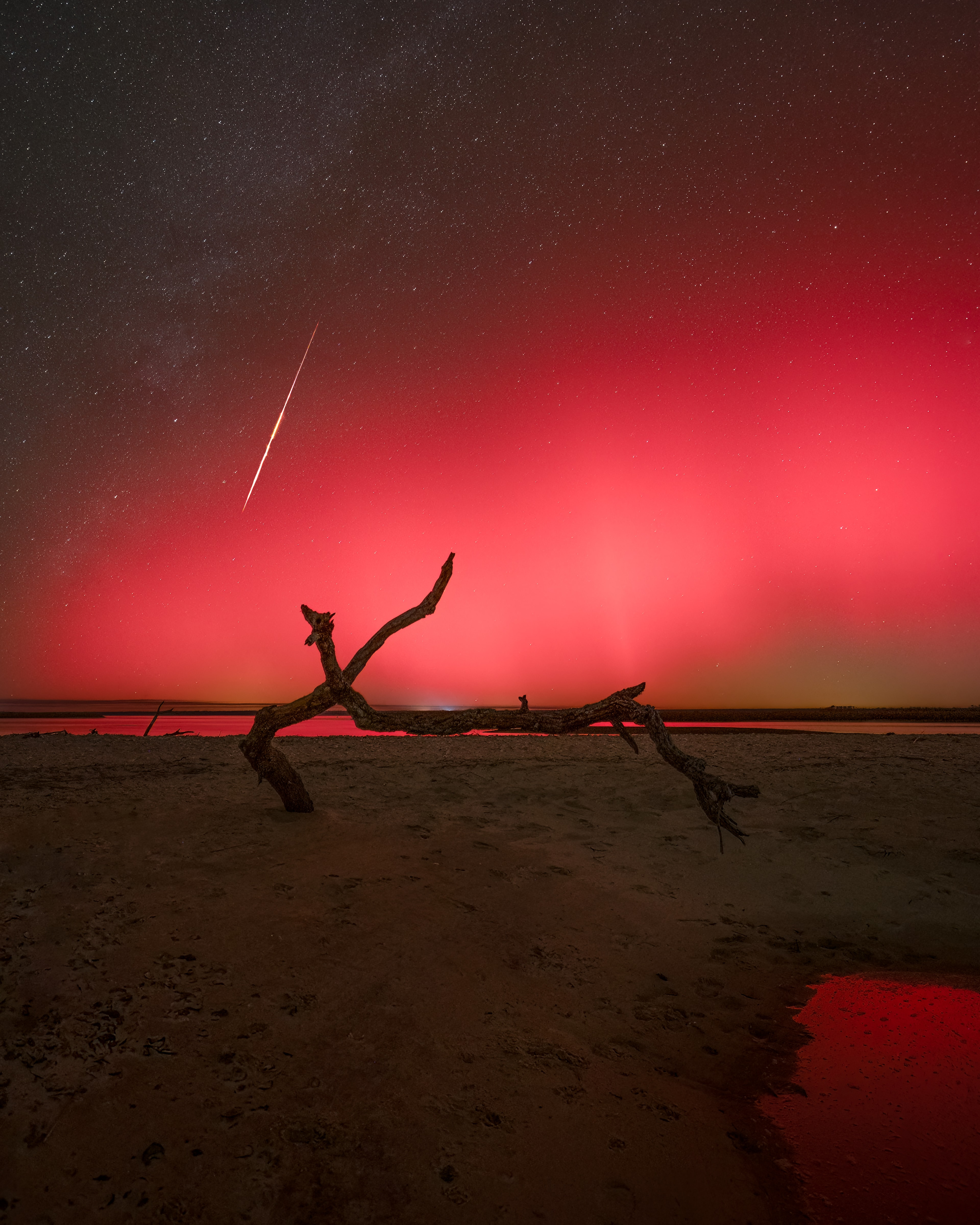 Northern lights have come to Florida skies. In fact, the brilliant streak of a Northern Taurid meteor flashes through the starry night sky above the beach in this sea and skyscape, captured from Shired Island, Florida on November 11. Meteors from the annual Northern Taurid meteor shower are expected this time of year. But the digital camera exposure also records the shimmering glow of aurora, a phenomenon more often seen from our fair planet's higher geographical latitudes. Also known as aurora borealis, these northern lights are part of recent, wide spread auroral activity caused by strong geomagnetic storms. In the last few days, stormy spaceweather has been triggered by multiple Earth impacting coronal mass ejections and intense solar activity.