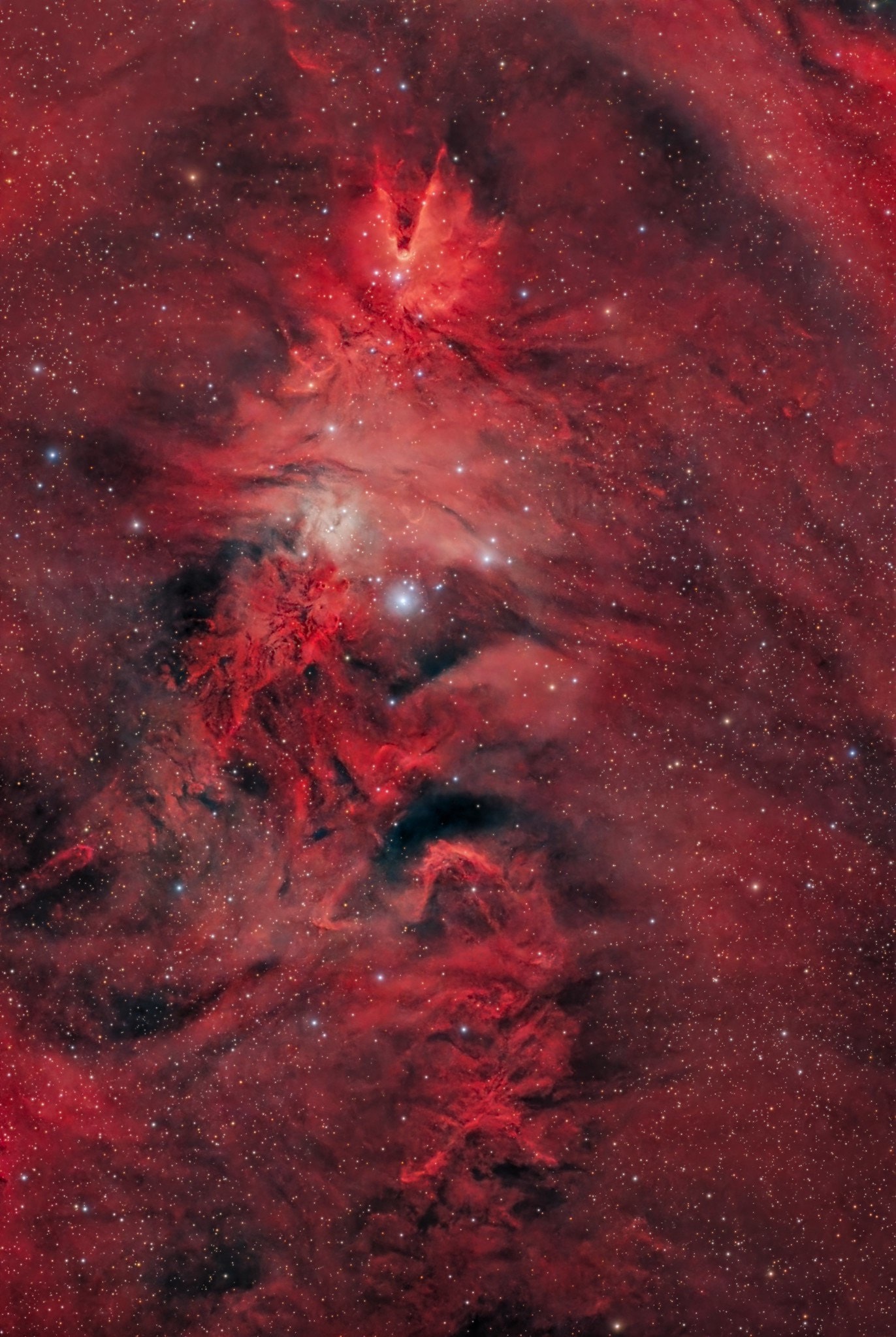 A star forming region cataloged as NGC 2264, this beautiful but complex arrangement of interstellar gas and dust is about 2,700 light-years distant in the faint but fanciful constellation Monoceros, the Unicorn. Seen toward the celestial equator and near the plane of our Milky Way galaxy, the seasonal skyscape mixes reddish emission nebulae excited by energetic light from newborn stars with dark interstellar dust clouds. Where the otherwise obscuring dust clouds lie close to the hot, young stars, they also reflect starlight, forming blue reflection nebulae. In fact, bright variable star S Monocerotis is immersed in a blue-tinted haze near center. Arrayed with a simple triangular outline above S Monocerotis, the stars of NGC 2264 are popularly known as the Christmas Tree star cluster. Carved by energetic starlight, the Cone Nebula sits upside down at the apex of this cosmic Christmas tree while the dusty, convoluted pelt of glowing gas and dust under the tree is called the Fox Fur Nebula. This rich telescopic frame spans about 1.5 degrees or 3 full moons on the sky top to bottom, covering nearly 80 light-years at the distance of NGC 2264.