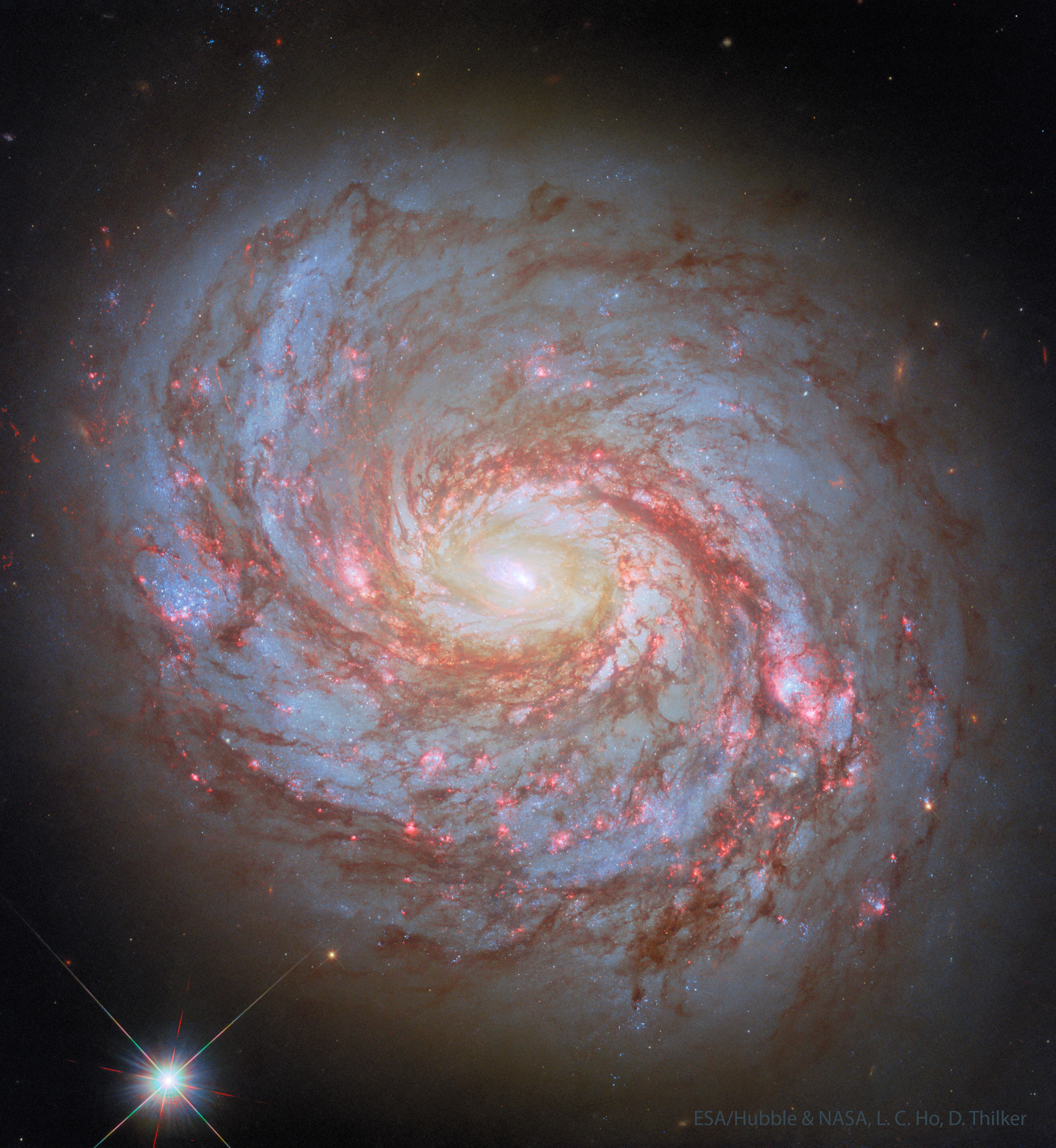 What's happening in the center of nearby spiral galaxy M77? The face-on galaxy lies a mere 47 million light-years away toward the constellation of the Sea Monster (Cetus).  At that estimated distance, this gorgeous island universe is about 100 thousand light-years across.  Also known as NGC 1068, its compact and very bright core is well studied by astronomers exploring the mysteries of supermassive black holes in active Seyfert galaxies.  M77's active core glows bright at x-ray, ultraviolet, visible, infrared, and radio wavelengths.  The featured sharp image of M77 was taken by the Hubble Space Telescope. The image shows details of the spiral's winding spiral arms as traced by obscuring red dust clouds and blue star clusters, all circling the galaxy's bright white luminous center.   Free APOD Lecture in Phoenix: Wednesday, December 10 at 7 pm