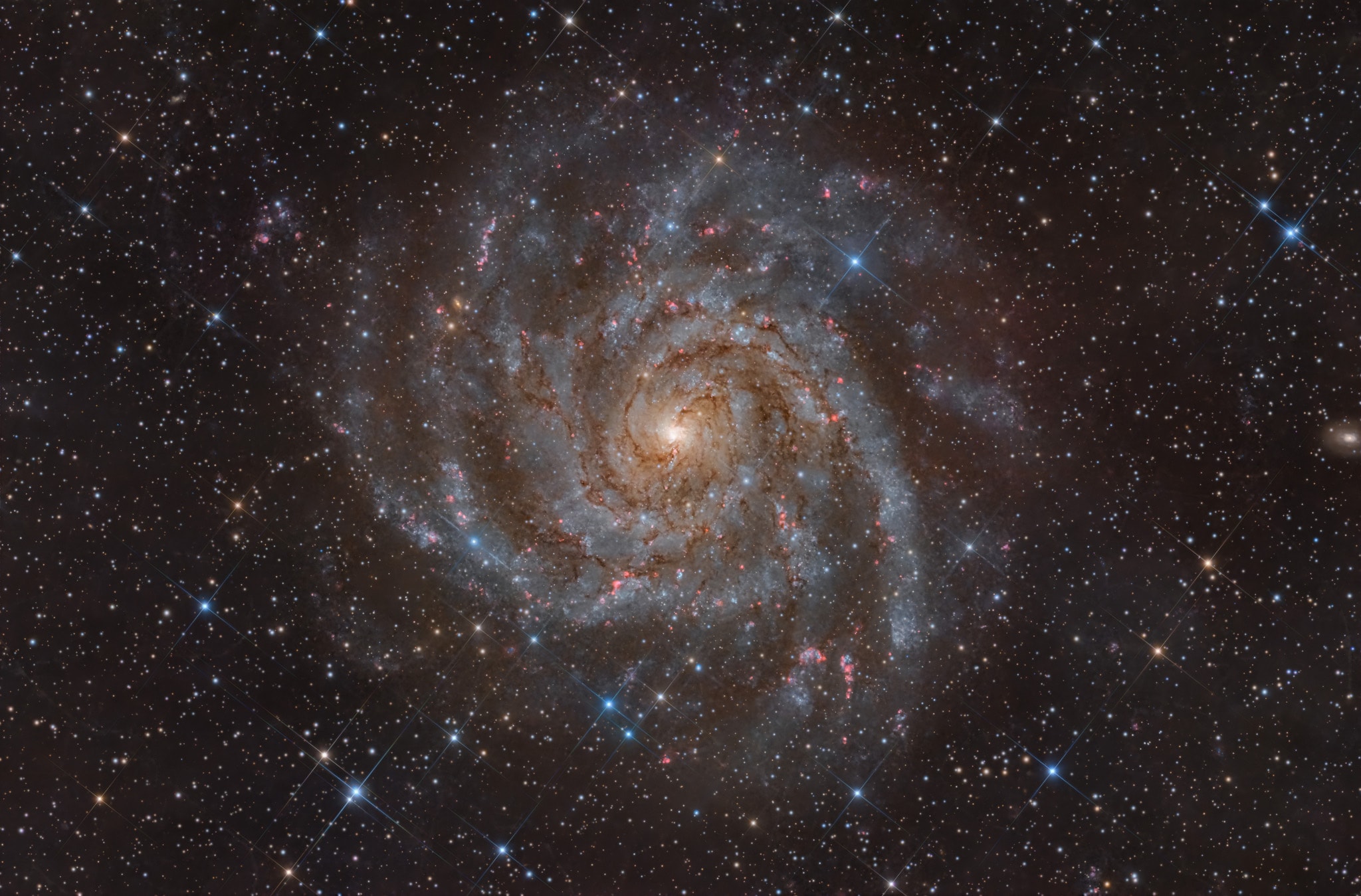 Similar in size to large, bright spiral galaxies in our neighborhood, IC 342 is a mere 10 million light-years distant toward the long-necked, northern constellation Camelopardalis. A sprawling island universe, IC 342 would otherwise be a prominent galaxy in our night sky, but it is hidden from clear view and only glimpsed through the veil of stars, gas and dust clouds along the plane of our own Milky Way galaxy. Even though IC 342's light is dimmed and reddened by intervening cosmic clouds, this sharp telescopic image traces the galaxy's own obscuring dust, young star clusters, and glowing star forming regions along spiral arms that wind far from the galaxy's core. IC 342 has undergone a recent burst of star formation activity and is close enough to have influenced the evolution of the local group of galaxies and the Milky Way.