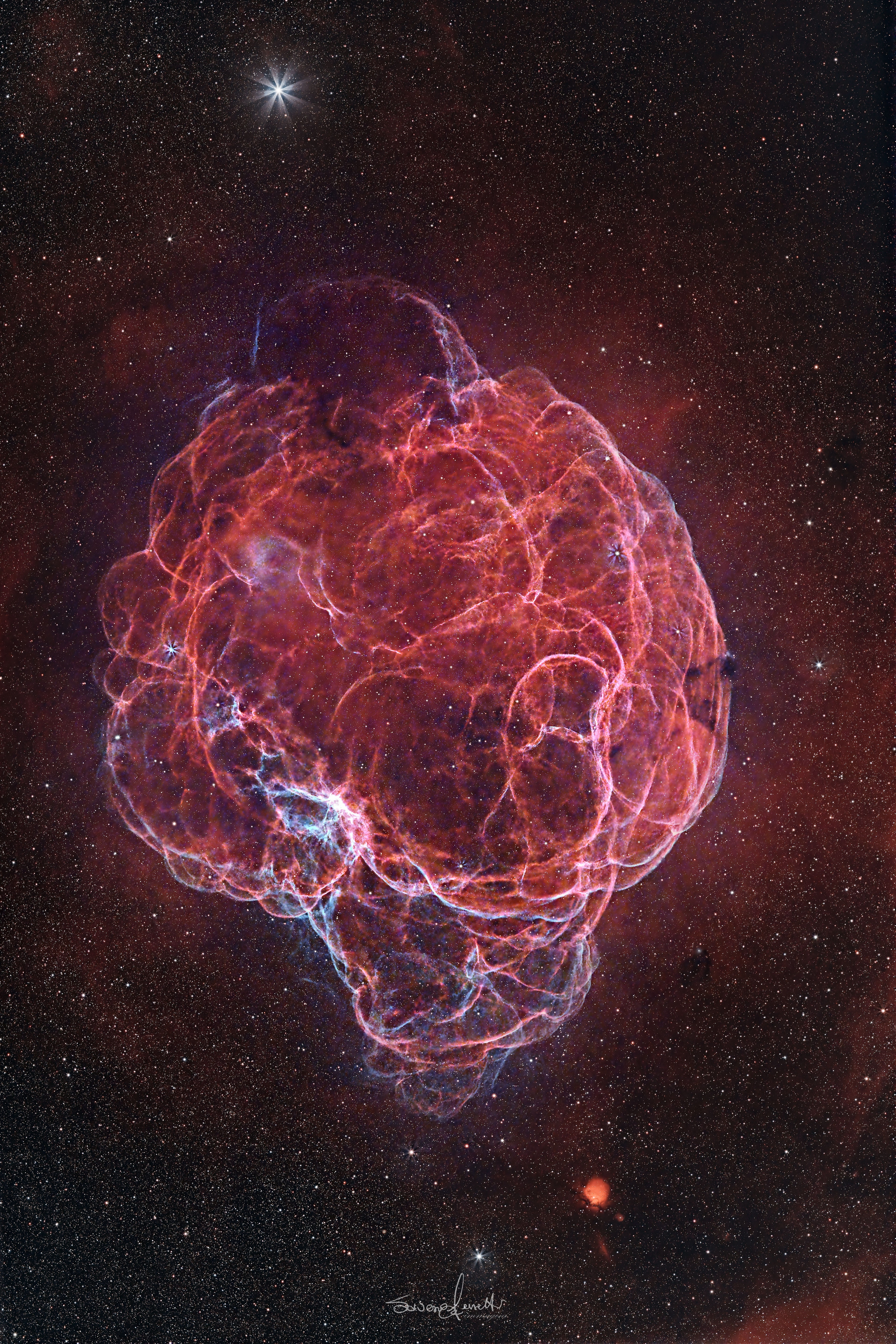 Its popular nickname is the Spaghetti Nebula.  Officially cataloged as Simeis 147 and Sharpless 2-240, it is easy to get lost following the looping and twisting filaments of this intricate supernova remnant.  Seen toward the boundary of the constellations of the Bull (Taurus) and the Charioteer (Auriga), the impressive gas structure covers nearly 3 degrees on the sky, equivalent to 6 full moons.  That's about 150 light-years at the stellar debris cloud's estimated distance of 3,000 light-years.  The supernova remnant has an estimated age of about 40,000 years, meaning light from this powerful stellar explosion first reached the Earth when woolly mammoths roamed free.  Besides the expanding remnant, this cosmic catastrophe left behind a pulsar, a fast-spinning neutron star that is the remnant of the original star's core.  The featured image was captured last month from Forca Canapine, Italy.   Portal Universe: Random APOD Generator