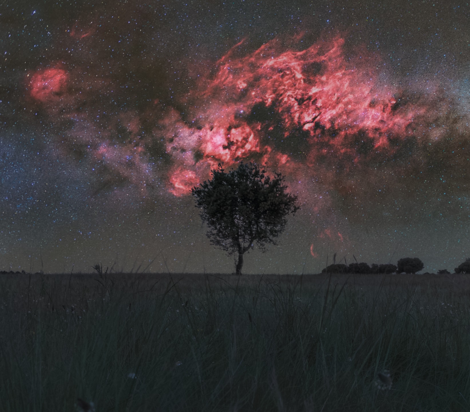 A lone tree stands in a quiet meadow in Guadalajara, Spain, silhouetted against the Cygnus region rising above like flames in the night sky.  This deep night skyscape is a composite of exposures that reveals a range of brightness and color human eyes can't quite see on their own. Spanning over a thousand times the angular size of the full moon, Cygnus sets the sky afire with active star formation where clouds of gas and dust collapse under gravity until nuclear fusion ignites and new stars are born. These stars  ionize the surrounding hydrogen gas, causing it to glow crimson, while tendrils of interstellar dust absorb some of that light and cast dark shadows across the sky. Cygnus is a trove of celestial treasures, notably the Veil, Crescent, and Pelican nebulae, as well as  Cygnus X-1, the first confirmed black hole.  Cygnus continues to yield fresh science, including a new three-dimensional model of the Cygnus Loop made possible by the Chandra X-ray Observatory.   Almost Hyperspace: Random APOD Generator