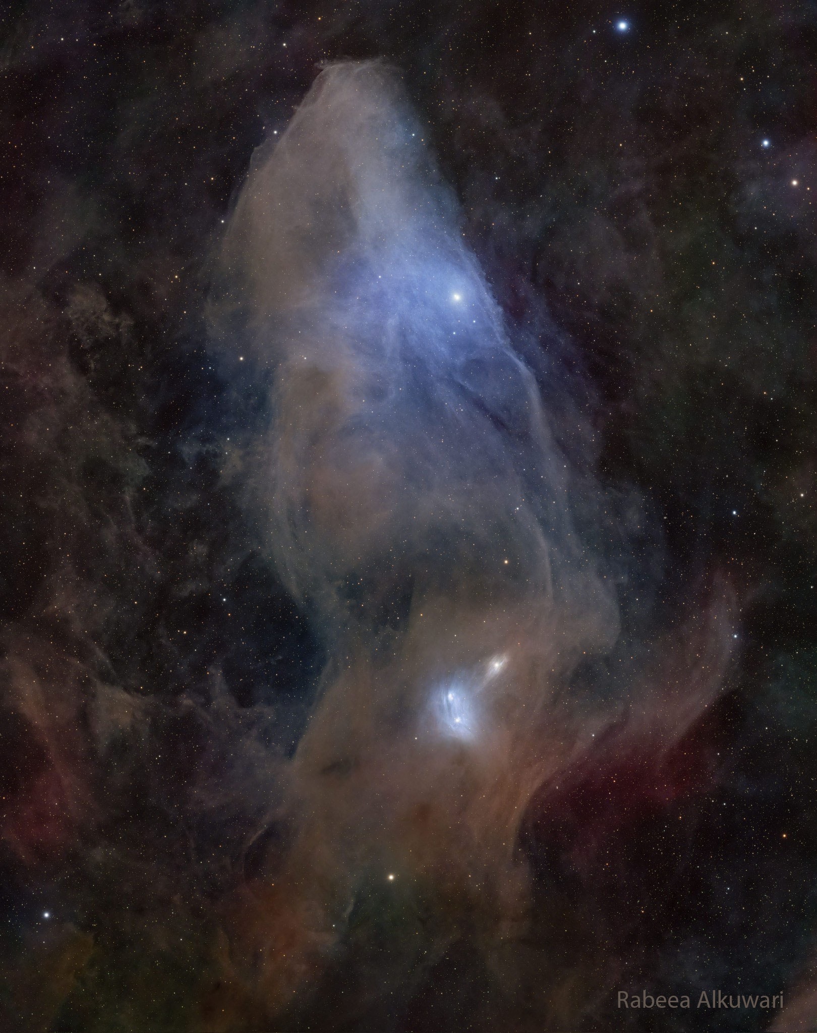 Do you see the horse's head?   What you are seeing is not the famous Horsehead nebula toward Orion, but rather a fainter nebula that only takes on a familiar form with deeper imaging.  The main part of the here-imaged molecular cloud complex is  reflection nebula IC 4592.  Reflection nebulas are made up of very fine dust that normally appears dark but can look quite blue when reflecting the visible light of energetic nearby stars.  In this case, the source of much of the reflected light is a star at the eye of the horse.  That star is part of Nu Scorpii, one of the brighter star systems toward the constellation of the Scorpion (Scorpius).   A second reflection nebula dubbed IC 4601 is visible surrounding two stars just below the image center.  The featured picture was taken from  Sawda Natheel in  Qatar.   Jigsaw Nebula: Astronomy Puzzle of the Day