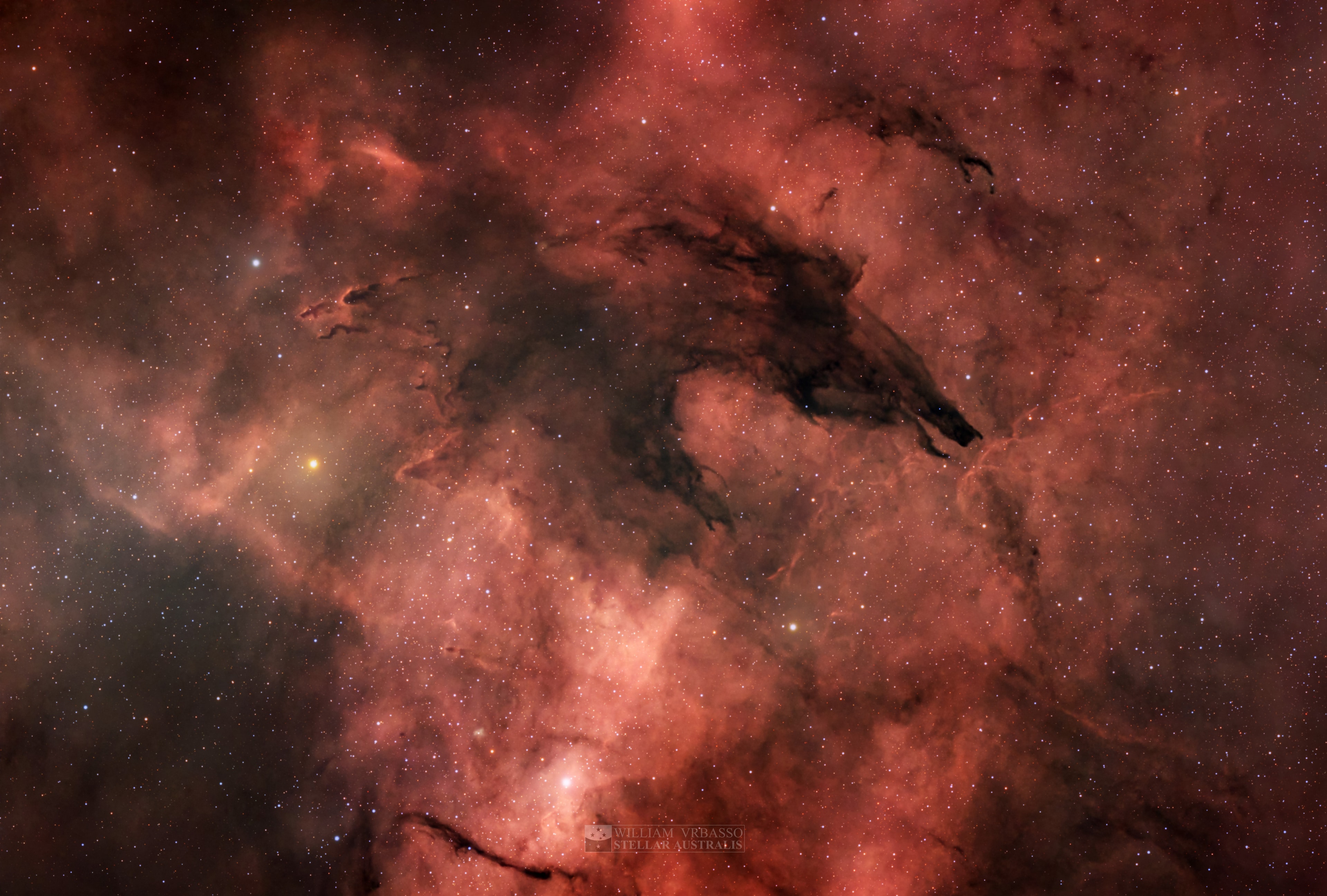 A dark wolf lies in gum. No, this isn’t a riddle! Today's image features the Dark Wolf Nebula (Sandqvist–Lindroos 17), a spooky dust cloud embedded within the Gum 55 (RCW 113) Nebula in the Scorpius constellation. While dust is a pest to us, it serves a vital role in creating the necessary conditions for stars to be born. The Dark Wolf absorbs the intense ultraviolet and visible light emitted by young stars in Gum 55 and re-emits it at longer, mainly infrared, wavelengths. This prevents the higher energy light from heating up the gas in the region. When a region of gas is cool enough, gravity takes over and causes the gas to collapse into a star. Not only does dust act as an interstellar thermostat, but it is also the meet-cute for single hydrogen atoms forming molecular hydrogen, the building block for stars. The seemingly sinister Dark Wolf is actually a harbinger of cosmic life.