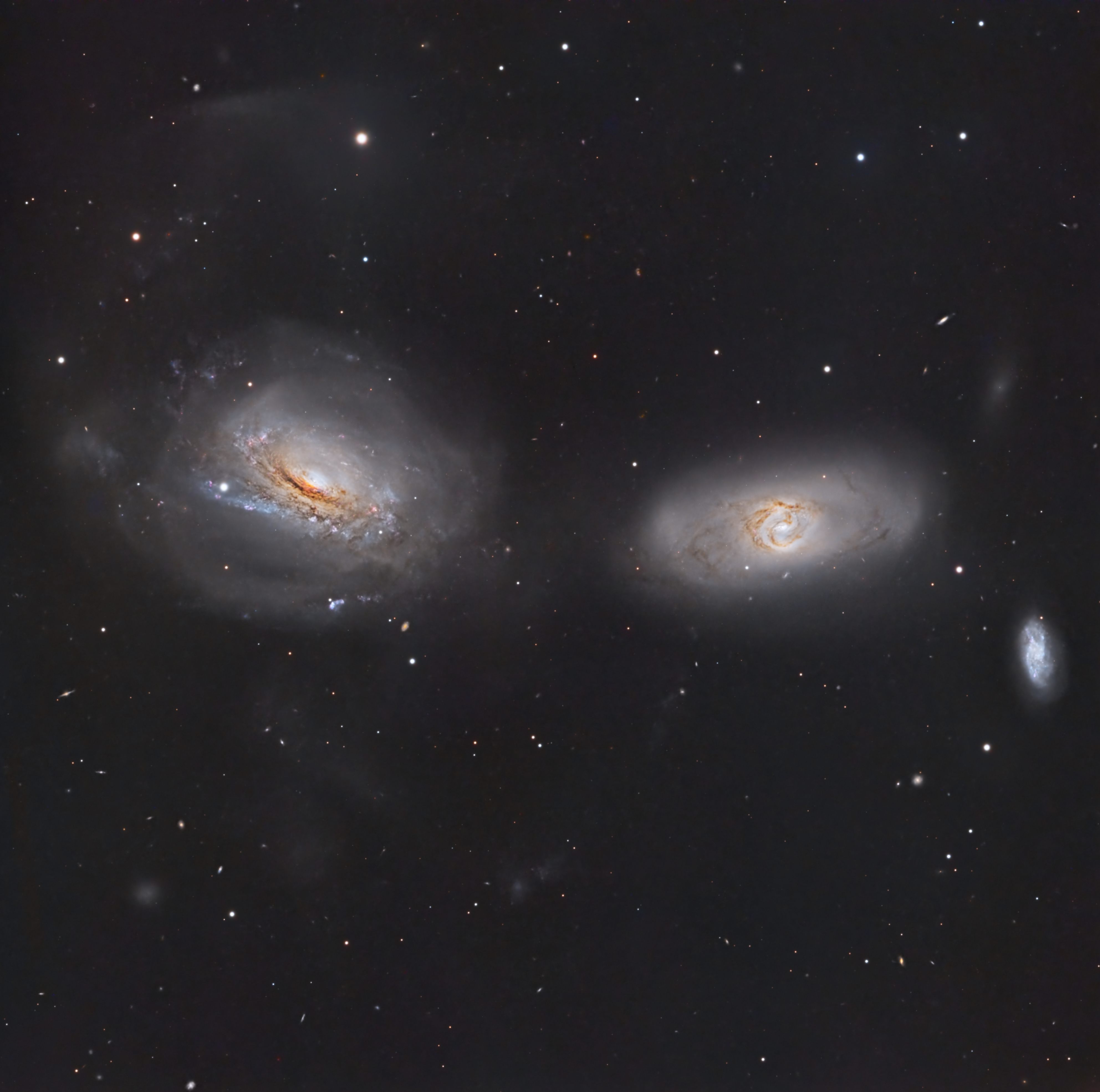 Spiral galaxy NGC 3169 looks to be unraveling like a ball of cosmic yarn. It lies some 70 million light-years away, south of bright star Regulus toward the faint constellation Sextans. Wound up spiral arms are pulled out into sweeping tidal tails as NGC 3169 (left) and neighboring NGC 3166 interact gravitationally. Eventually the galaxies will merge into one, a common fate even for bright galaxies in the local universe. Drawn out stellar arcs and plumes are clear indications of the ongoing gravitational interactions across the deep and colorful galaxy group photo. The telescopic frame spans about 20 arc minutes or about 400,000 light-years at the group's estimated distance, and includes smaller, bluish NGC 3165 to the right. NGC 3169 is also known to shine across the spectrum from radio to X-rays, harboring an active galactic nucleus that is the site of a supermassive black hole.