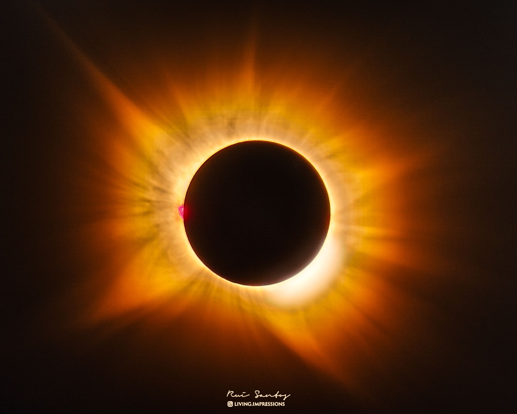 This total solar eclipse appeared not only poetically beautiful but scientifically interesting.  Usually the solar corona appears white, and to some observers the corona of last week's total solar eclipse did appear this pearly color.  But this time, totality observers in Spain saw a corona that appeared unusually golden.  For one reason, from Spain, the totality occurred when the setting Sun was near the horizon.  That low, sunlight travels through a large amount of air which scatters out blue light. An unusual amount of smoke in the air from nearby forest fires acted as a second filter, further scattering the remaining blue tones and deepening the already gold-dominated light. The HDR-processed, multiple-exposure featured image was captured from Benavente, Spain last week.  One thing that did not appear golden was a hydrogen-glowing prominence that hovered over the Sun's left edge -- its original bright pink color survived.   Gallery: Solar Eclipse of 2026 August 12