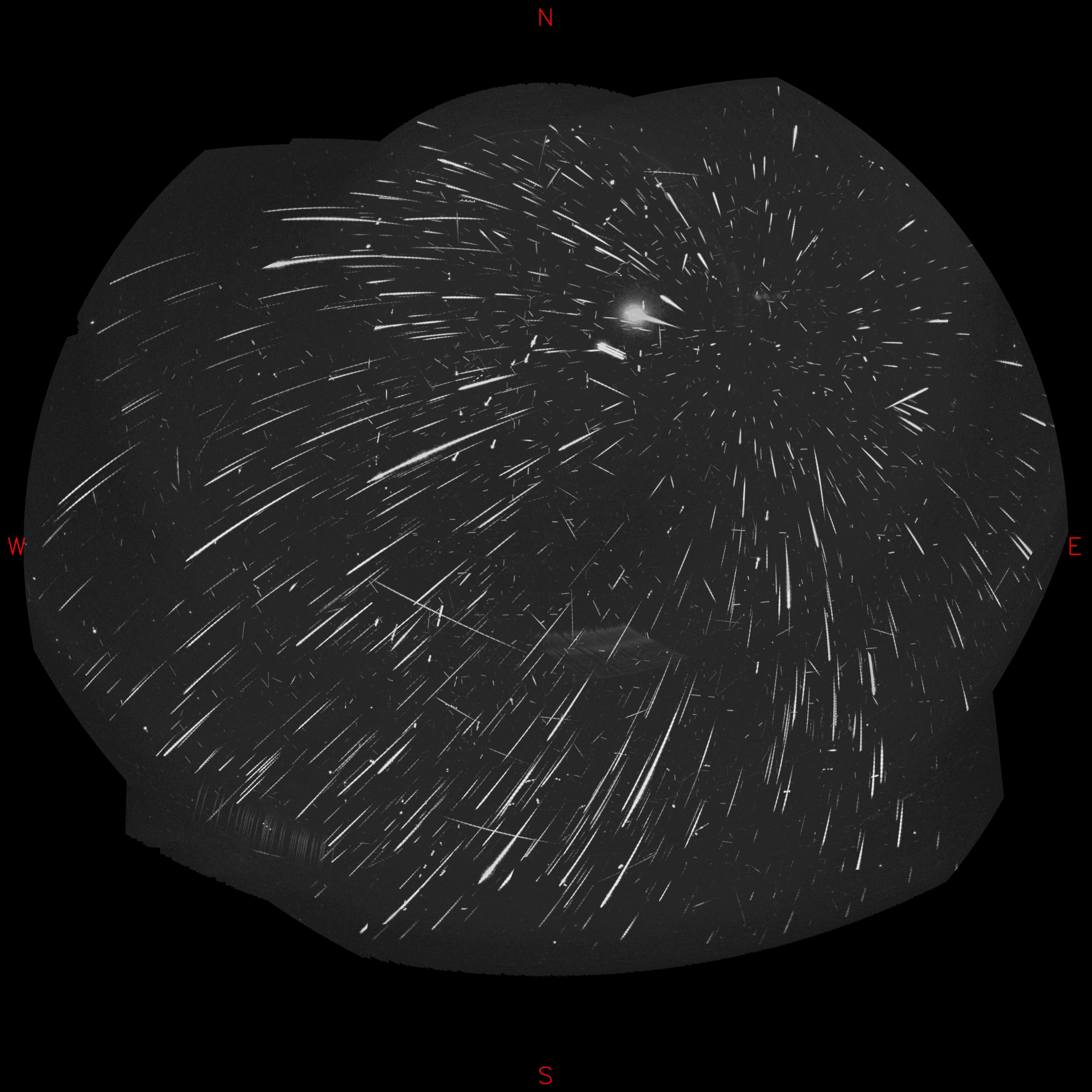 Recorded the night of August 12-13, images from four dedicated meteor-monitoring cameras at an astronomical observatory in Czechia were aligned and combined to create this all-night, all-sky view. On that night, the total count came to 1,706 meteors. And since that coincided with the peak activity of the 2026 Perseid Meteor Shower, most are perseids. Their overwhelming numbers make them easy to spot. Quite convincingly, perseid trails all trace back to a single radiant on the sky at the upper right, a region in the annual shower's eponymous constellation Perseus. But meteors belonging to other much less active showers can also revealed by finding their radiants too. For example, seen crossing the perseid trails are meteors from a shower whose radiant lies in Cygnus, known as Kappa Cygnids. The antihelion complex, a general region near Aquarius and opposite the Sun in the sky, is also identifiable as a weak source for meteors.
