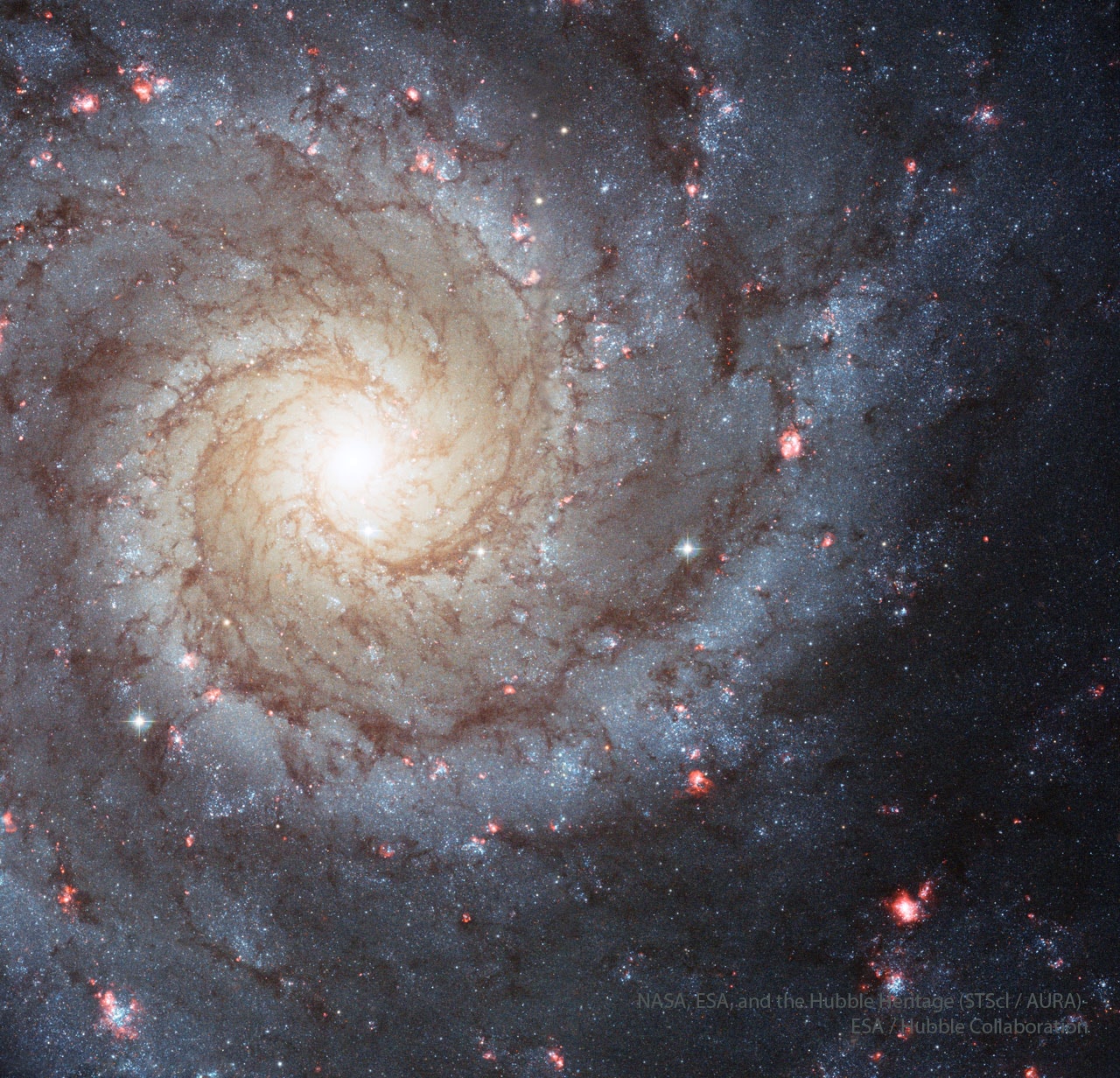 If not the most grand, then this spiral galaxy is at least one of the most photogenic.  An island universe of about 100 billion stars, 32 million light-years away toward the constellation Pisces, M74 presents a gorgeous face-on view.  Classified as an Sc galaxy, the grand design of M74's graceful spiral arms are traced by bright blue star clusters and dark cosmic dust lanes.  Constructed from archival images, this sharp composite is from the Hubble Space Telescope.  Spanning about 30,000 light-years across the face of M74, it includes exposures recording emission from hydrogen atoms, highlighting the reddish glow of the galaxy's large star-forming regions.   APOD's main NASA site is moving: From apod.nasa.gov to science.nasa.gov/apod