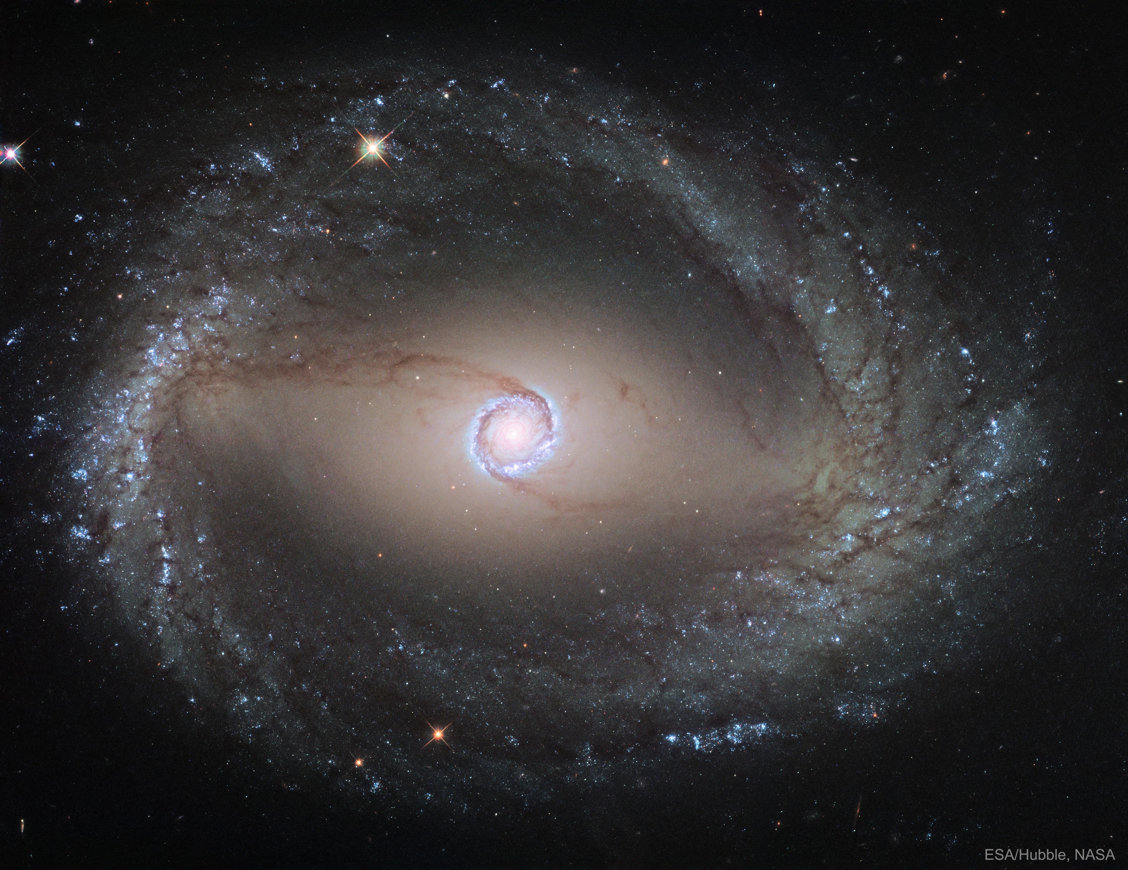 Most galaxies don't have any rings -- why does this galaxy have two? To begin, the bright band near NGC 1512's center is a nuclear ring, a ring that surrounds the galaxy center and glows brightly with recently formed stars. Most stars and accompanying gas and dust, however, orbit the galactic center in a ring much further out -- here seen near the image edge. This ring is called, counter-intuitively, the inner ring. If you look closely, you will see this the inner ring connects ends of a diffuse central bar that runs horizontally across the galaxy. These ring structures are thought to be caused by NGC 1512's own asymmetries in a drawn-out process called secular evolution. The gravity of these galaxy asymmetries, including the bar of stars, cause gas and dust to fall from the inner ring to the nuclear ring, enhancing this ring's rate of star formation. Some spiral galaxies also have a third ring -- an outer ring that circles the galaxy even further out. Two Weeks from Today: An American total eclipse of the Sun