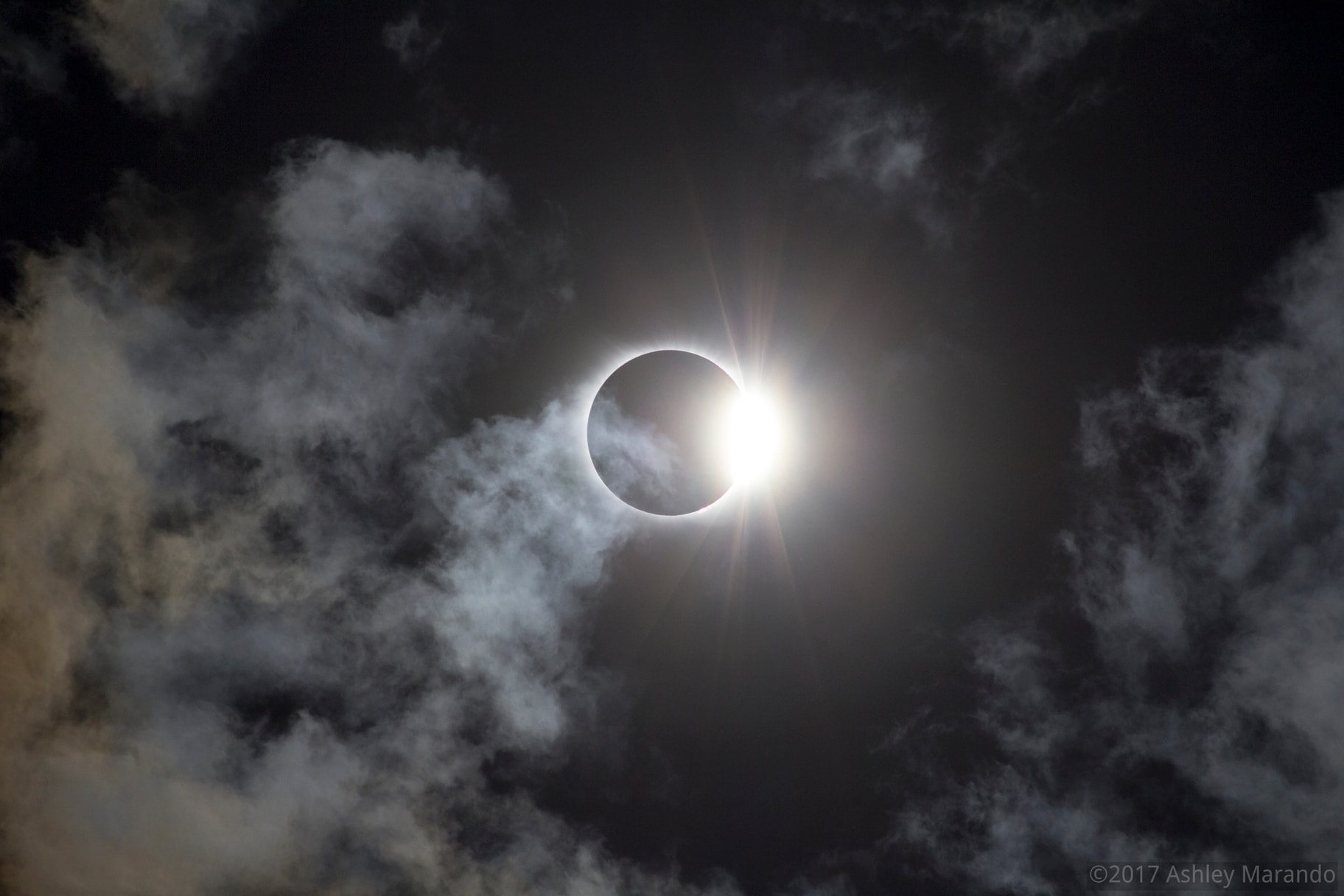 As the Moon's shadow swept across the US on August 21, eclipse chasers in the narrow path of totality were treated to a diamond ring in the sky. At the beginning and end of totality, the fleeting and beautiful effect often produces audible gasps from an amazed audience. It occurs just before or after the appearance of the faint solar corona with a brief ring of light and glimpse of Sun. In this scene from the end of totality at Central, South Carolina, clouds drift near the Sun's diamond ring in the sky.