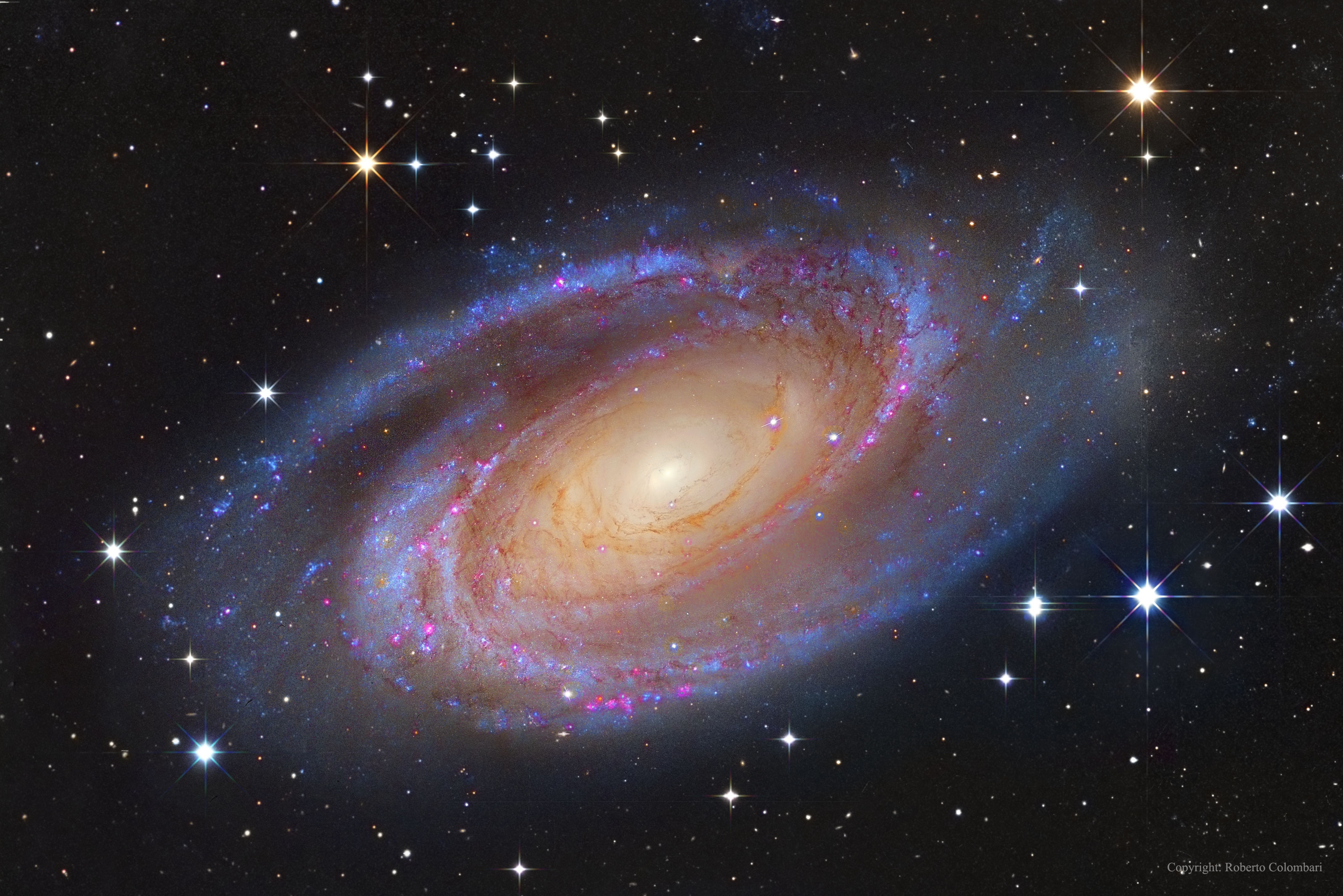 One of the brightest galaxies in planet Earth's sky is similar in size to our Milky Way Galaxy: big, beautiful M81. This grand spiral galaxy can be found toward the northern constellation of the Great Bear (Ursa Major). This superbly detailed view reveals M81's bright yellow nucleus, blue spiral arms, and sweeping cosmic dust lanes with a scale comparable to the Milky Way. Hinting at a disorderly past, a remarkable dust lane actually runs straight through the disk, to the left of the galactic center, contrary to M81's other prominent spiral features. The errant dust lane may be the lingering result of a close encounter between M81 and its smaller companion galaxy, M82. Scrutiny of variable stars in M81 has yielded one of the best determined distances for an external galaxy -- 11.8 million light-years. Free Download: The 2018 APOD Calendar