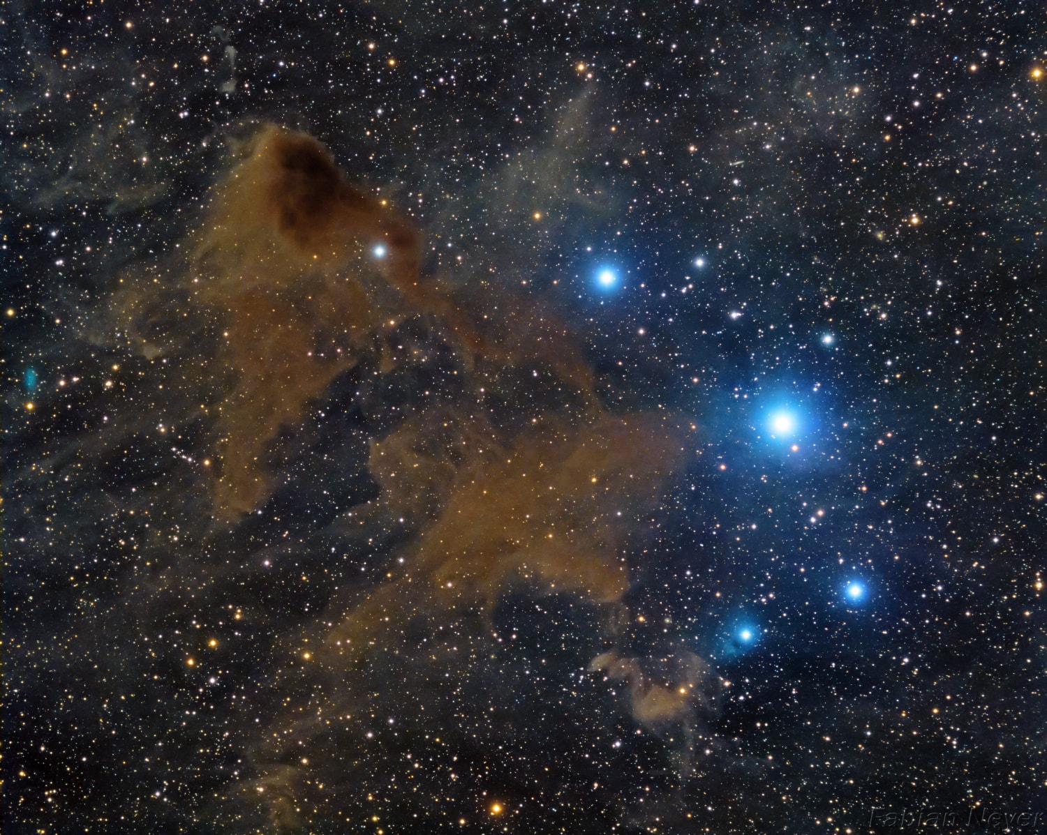 Beverly Lynds Dark Nebula 183 lies a mere 325 light-years away, drifting high above the plane of our Milky Way Galaxy. Obscuring the starlight behind it when viewed at optical wavelengths, the dark, dusty molecular cloud itself seems starless. But far infrared explorations reveal dense clumps within, likely stars in the early stages of formation as enhanced regions of the cloud undergo gravitational collapse. One of the closest molecular clouds, it is seen toward the constellation Serpens Caput. This sharp cosmic cloud portrait spans about half a degree on the sky. That's about 3 light-years at the estimated distance of Lynds Dark Nebula 183.