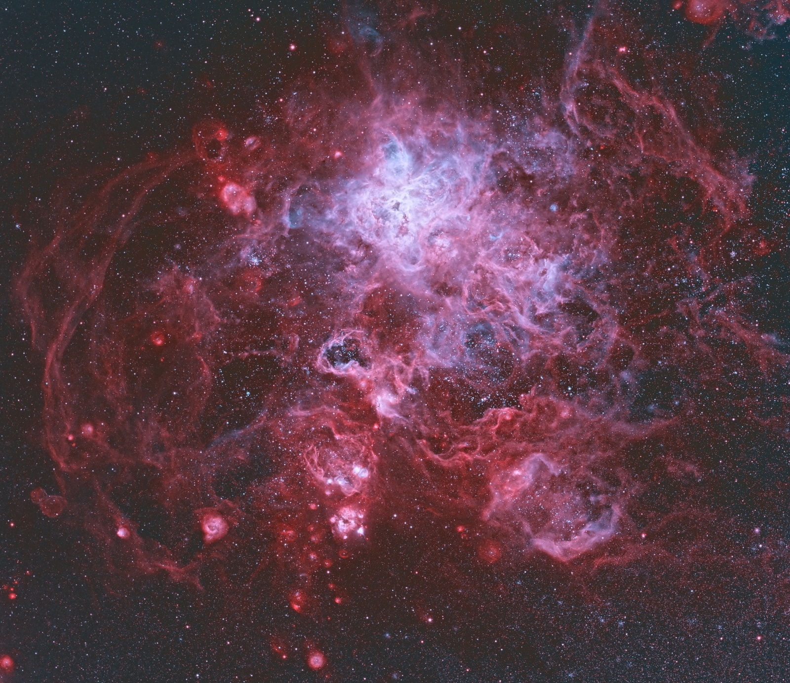 The Tarantula Nebula is more than a thousand light-years in diameter, a giant star forming region within nearby satellite galaxy the Large Magellanic Cloud, about 180 thousand light-years away. The largest, most violent star forming region known in the whole Local Group of galaxies, the cosmic arachnid sprawls across this spectacular view composed with narrowband data centered on emission from ionized hydrogen and oxygen atoms. Within the Tarantula (NGC 2070), intense radiation, stellar winds and supernova shocks from the central young cluster of massive stars, cataloged as R136, energize the nebular glow and shape the spidery filaments. Around the Tarantula are other star forming regions with young star clusters, filaments, and blown-out bubble-shaped clouds. In fact, the frame includes the site of the closest supernova in modern times, SN 1987A, right of center. The rich field of view spans about 1 degree or 2 full moons, in the southern constellation Dorado. But were the Tarantula Nebula closer, say 1,500 light-years distant like the local star forming Orion Nebula, it would take up half the sky. Watch: Leonid Meteor Shower