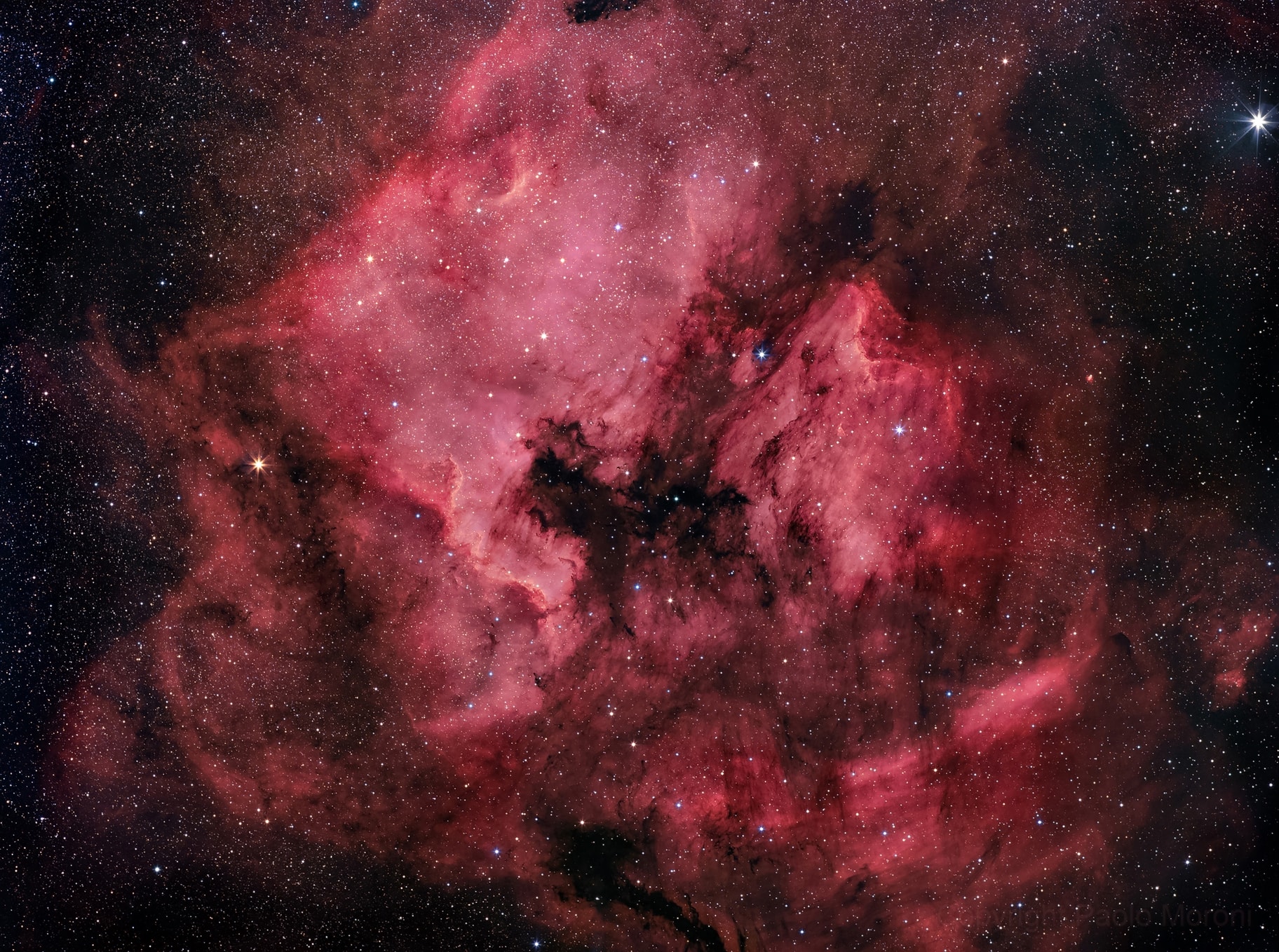 Fans of our fair planet might recognize the outlines of these cosmic clouds. On the left, bright emission outlined by dark, obscuring dust lanes seems to trace a continental shape, lending the popular name North America Nebula to the emission region cataloged as NGC 7000. To the right, just off the North America Nebula's east coast, is IC 5070, whose profile suggests the Pelican Nebula. The two bright nebulae are about 1,500 light-years away, part of the same large and complex star forming region, almost as nearby as the better-known Orion Nebula. At that distance, the 6 degree wide field of view would span 150 light-years. This careful cosmic portrait uses narrow band images to highlight the bright ionization fronts and the characteristic red glow from atomic hydrogen gas. These nebulae can be seen with binoculars from a dark location. Look northeast of bright star Deneb in the constellation of Cygnus the Swan.