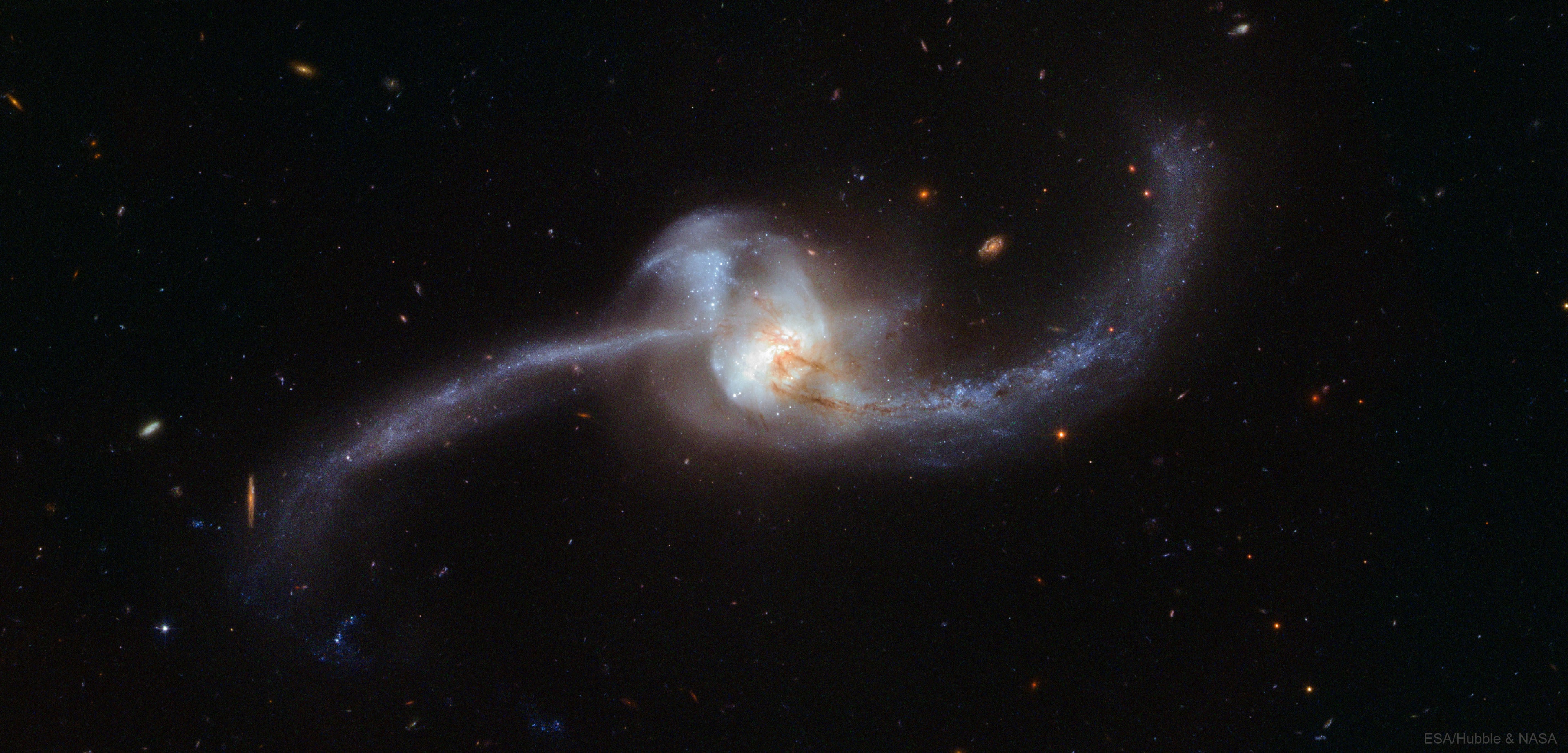 Where do stars form when galaxies collide? To help find out, astronomers imaged the nearby galaxy merger NGC 2623 in high resolution with the Hubble Space Telescope. Analysis of this and other Hubble images as well as images of NGC 2623 in infrared light by the Spitzer Space Telescope, in X-ray light by XMM-Newton, and in ultraviolet light by GALEX, indicate that two originally spiral galaxies appear now to be greatly convolved and that their cores have unified into one active galactic nucleus (AGN). Star formation continues around this core near the featured image center, along the stretched out tidal tails visible on either side, and perhaps surprisingly, in an off-nuclear region on the upper left where clusters of bright blue stars appear. Galaxy collisions can take hundreds of millions of years and take several gravitationally destructive passes. NGC 2623, also known as Arp 243, spans about 50,000 light years and lies about 250 million light years away toward the constellation of the Crab (Cancer). Reconstructing the original galaxies and how galaxy mergers happen is often challenging, sometimes impossible, but generally important to understanding how our universe evolved.