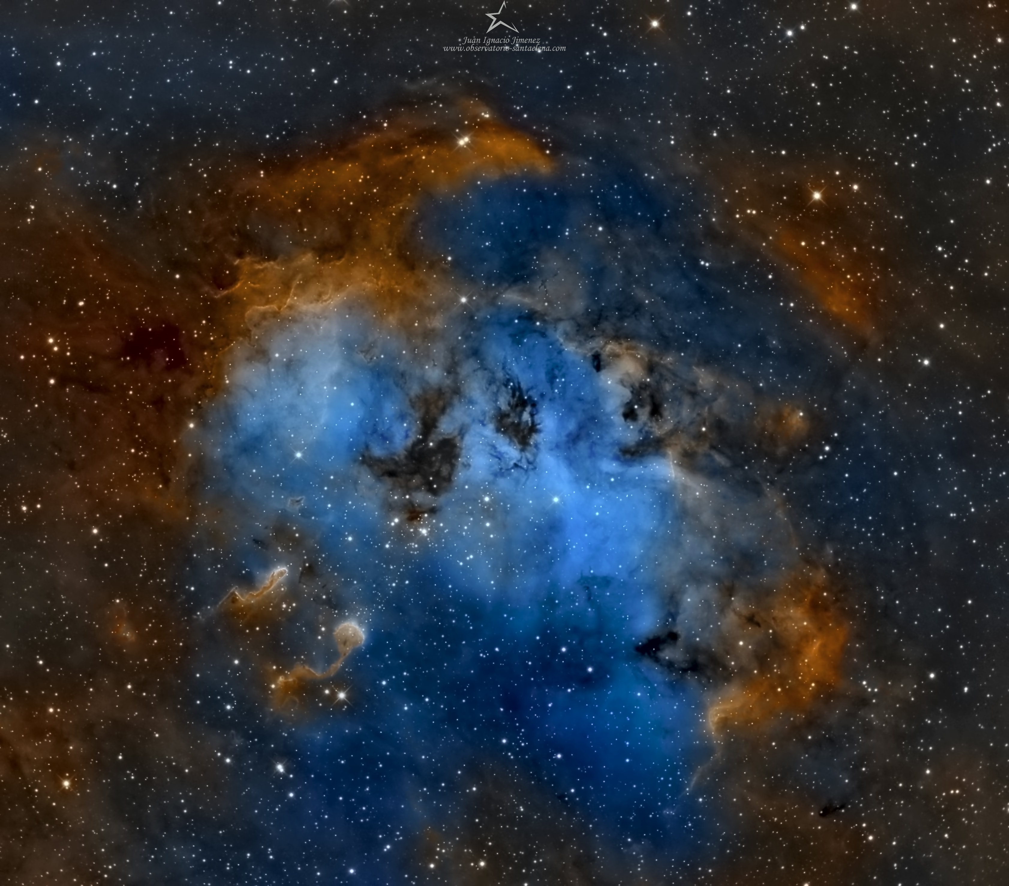 This telescopic close-up shows off the otherwise faint emission nebula IC 410. It also features two remarkable inhabitants of the cosmic pond of gas and dust below and left of center, the tadpoles of IC 410. Partly obscured by foreground dust, the nebula itself surrounds NGC 1893, a young galactic cluster of stars. Formed in the interstellar cloud a mere 4 million years ago, the intensely hot, bright cluster stars energize the glowing gas. Composed of denser cooler gas and dust, the tadpoles are around 10 light-years long and are likely sites of ongoing star formation. Sculpted by winds and radiation from the cluster stars, their heads are outlined by bright ridges of ionized gas while their tails trail away from the cluster's central region. IC 410 lies some 10,000 light-years away, toward the nebula-rich constellation Auriga.