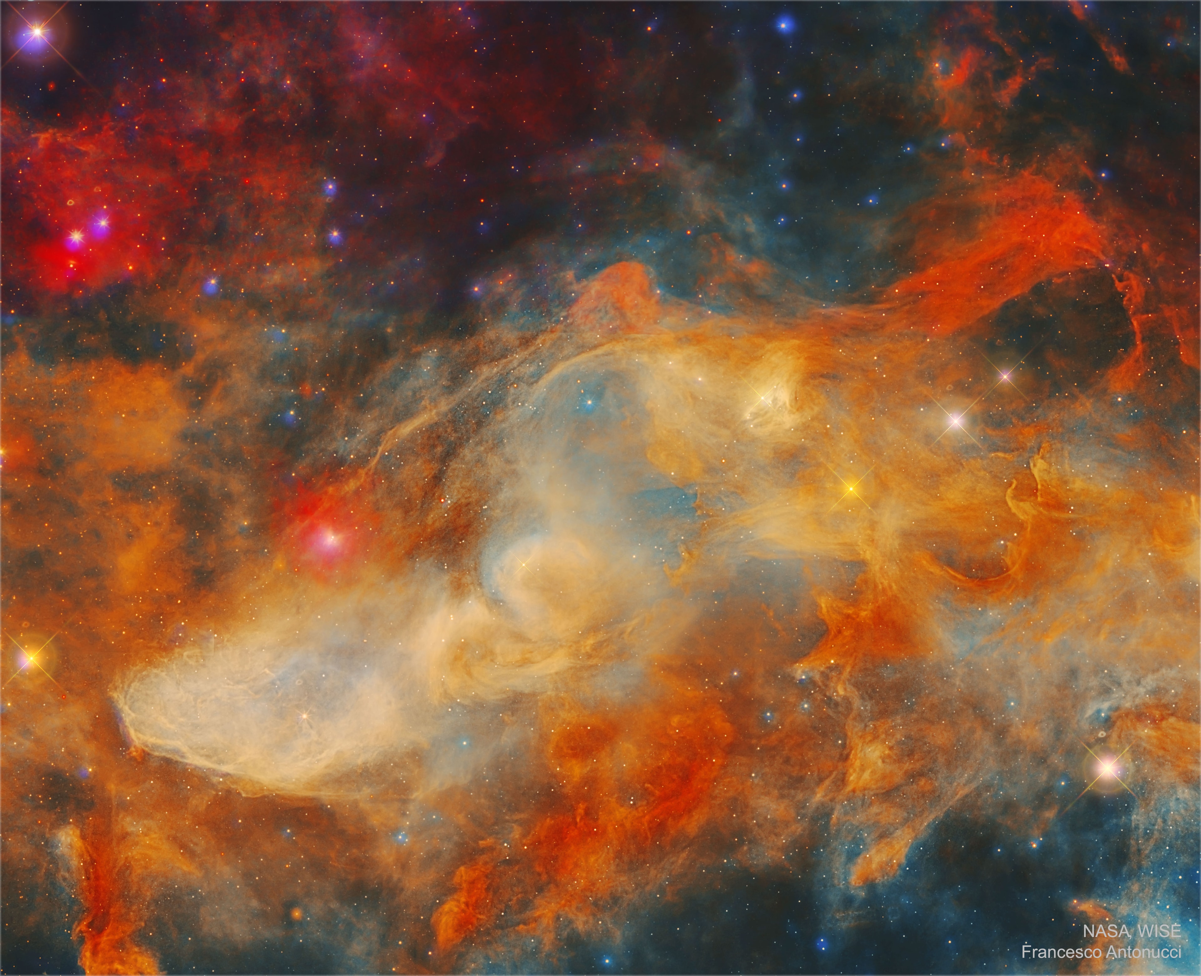 The Blue Horsehead Nebula looks quite different in infrared light. In visible light, the reflecting dust of the nebula appears blue and shaped like a horse's head. In infrared light, however, a complex labyrinth of filaments, caverns, and cocoons of glowing dust and gas emerges, making it hard to even identify the equine icon. The featured image of the nebula was created in three infrared colors (R=22, G=12, B=4.6 microns) from data taken by NASA's orbiting Wide Field Infrared Survey Explorer (WISE) spacecraft. The nebula is cataloged as IC 4592 and spans about 40 light years, lying about 400 light years away toward the constellation Scorpius along the plane of our Milky Way Galaxy. IC 4592 is fainter but covers an angularly greater region than the better known Horsehead Nebula of Orion. The star that predominantly illuminates and heats the dust is Nu Scorpii, visible as the reddened star left of center.