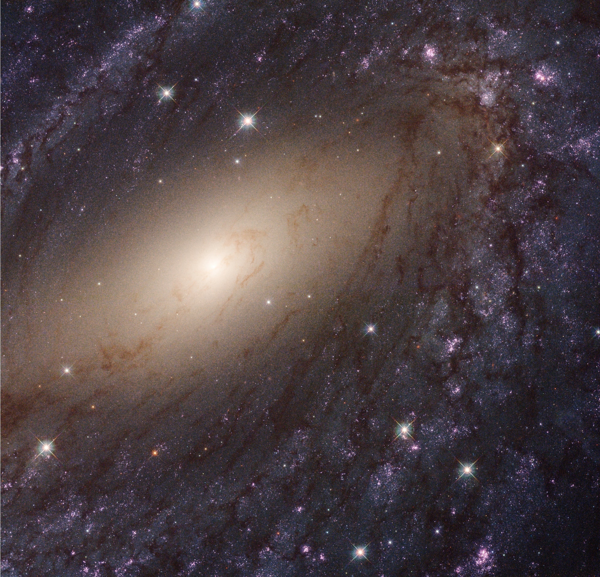 Beautiful spiral galaxy NGC 6744 is nearly 175,000 light-years across, larger than our own Milky Way. It lies some 30 million light-years distant in the southern constellation Pavo, its galactic disk tilted towards our line of sight. This Hubble close-up of the nearby island universe spans about 24,000 light-years across NGC 6744's central region in a detailed portrait that combines visible light and ultraviolet image data. The giant galaxy's yellowish core is dominated by the visible light from old, cool stars. Beyond the core are pinkish star forming regions and young star clusters scattered along the inner spiral arms. The young star clusters are bright at ultraviolet wavelengths, shown in blue and magenta hues.