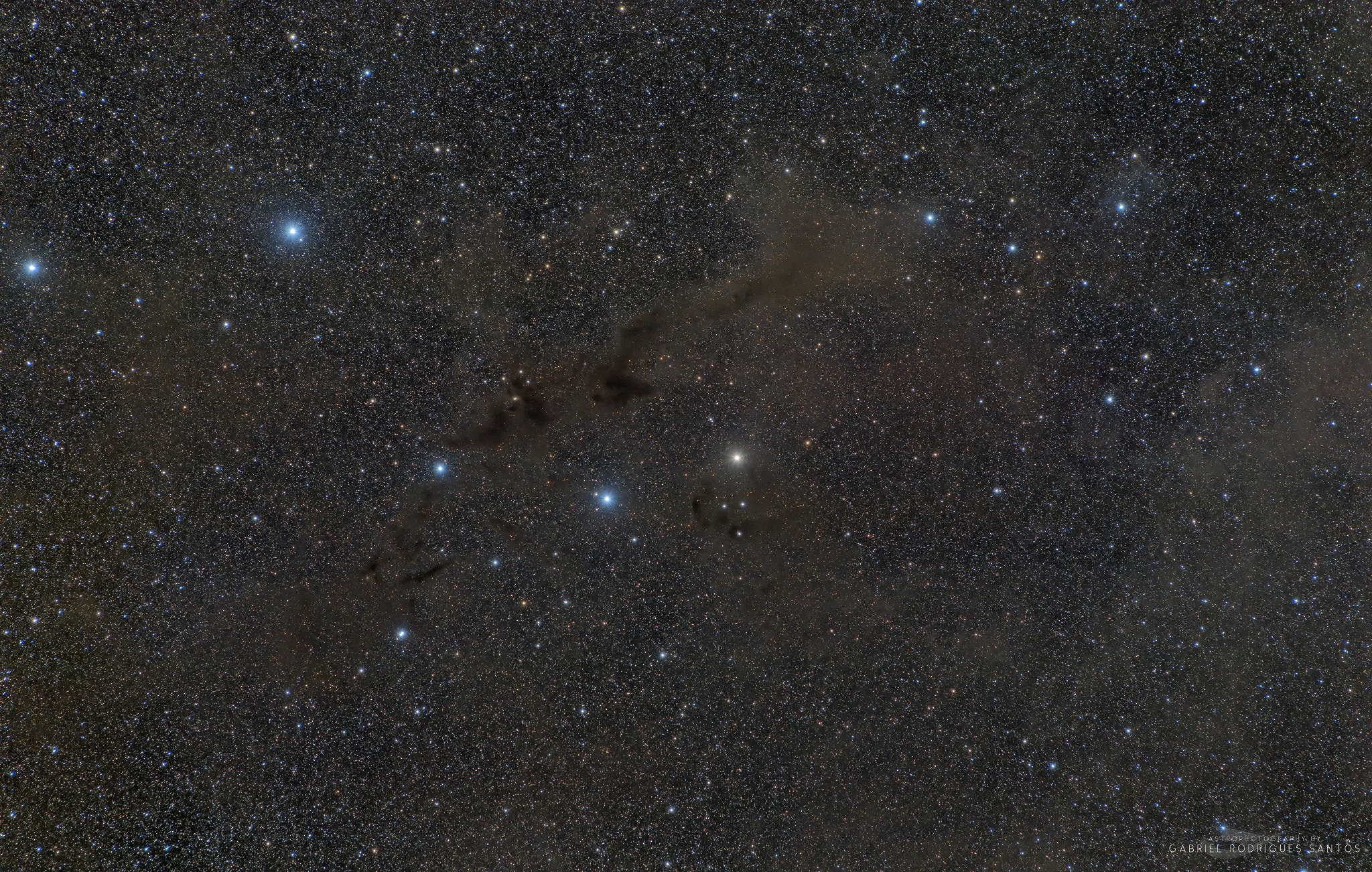 These dark markings on the sky can just be found in silhouette against a rich, luminous background of stars. Seen toward the southern constellation of Lupus the Wolf, the dusty, obscuring clouds are part of the Lupus Molecular Cloud some 500 light-years distant. Packs of low mass stars are forming within them, from collapsing cores only visible at long infrared wavelengths. Still, colorful stars in Lupus add to this pretty galactic skyscape. It spans about 8 degrees, not far from the central Milky Way.