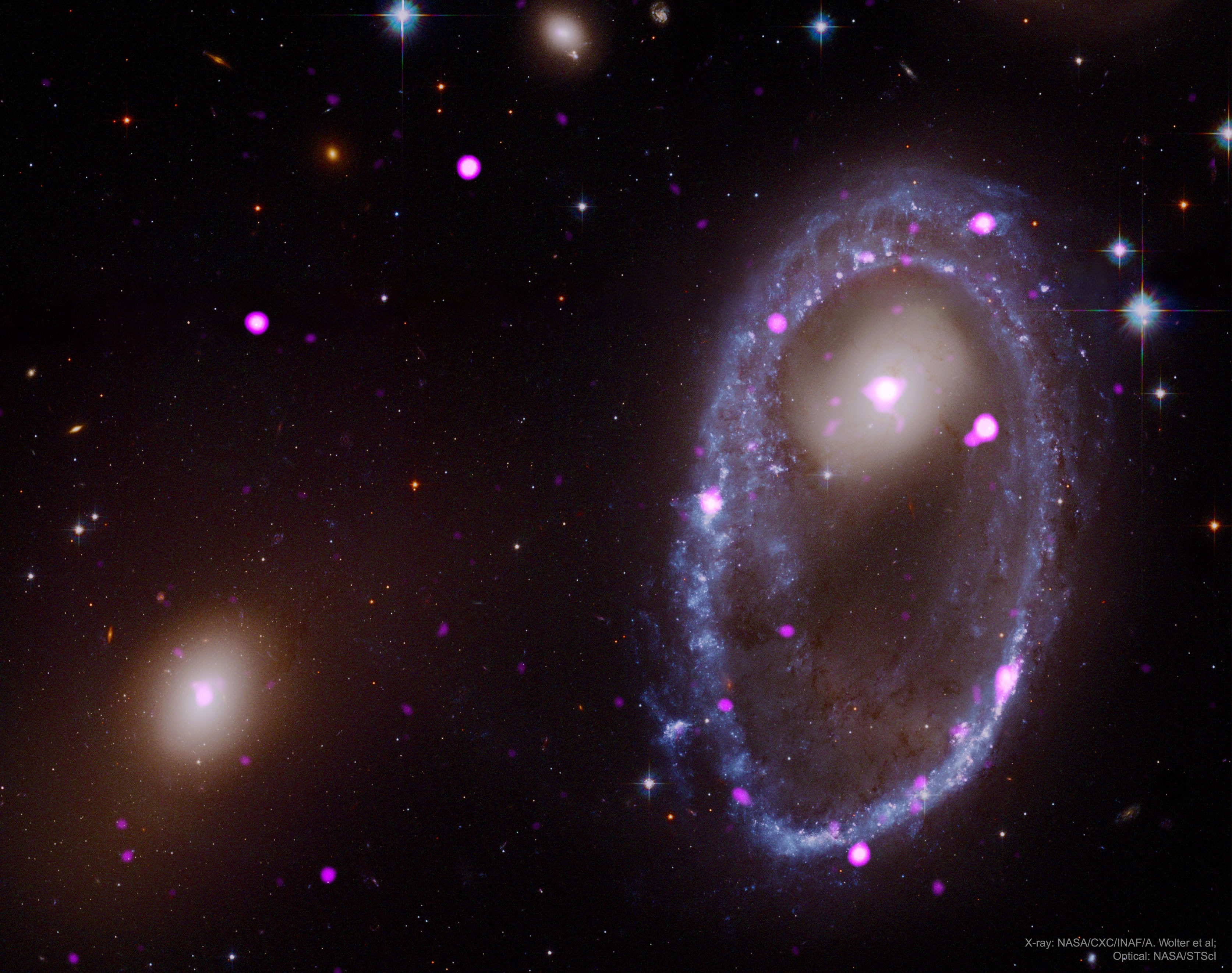 How could a galaxy become shaped like a ring? The rim of the blue galaxy pictured on the right is an immense ring-like structure 150,000 light years in diameter composed of newly formed, extremely bright, massive stars. That galaxy, AM 0644-741, is known as a ring galaxy and was caused by an immense galaxy collision. When galaxies collide, they pass through each other -- their individual stars rarely come into contact. The ring-like shape is the result of the gravitational disruption caused by an entire small intruder galaxy passing through a large one. When this happens, interstellar gas and dust become condensed, causing a wave of star formation to move out from the impact point like a ripple across the surface of a pond. The likely intruder galaxy is on the left of this combined image from Hubble (visible) and Chandra (X-ray) space telescopes. X-ray light is shown in pink and depicts places where energetic black holes or neutron stars, likely formed shortly after the galaxy collision, reside. Open Science: Browse 1,800+ codes in the Astrophysics Source Code Library